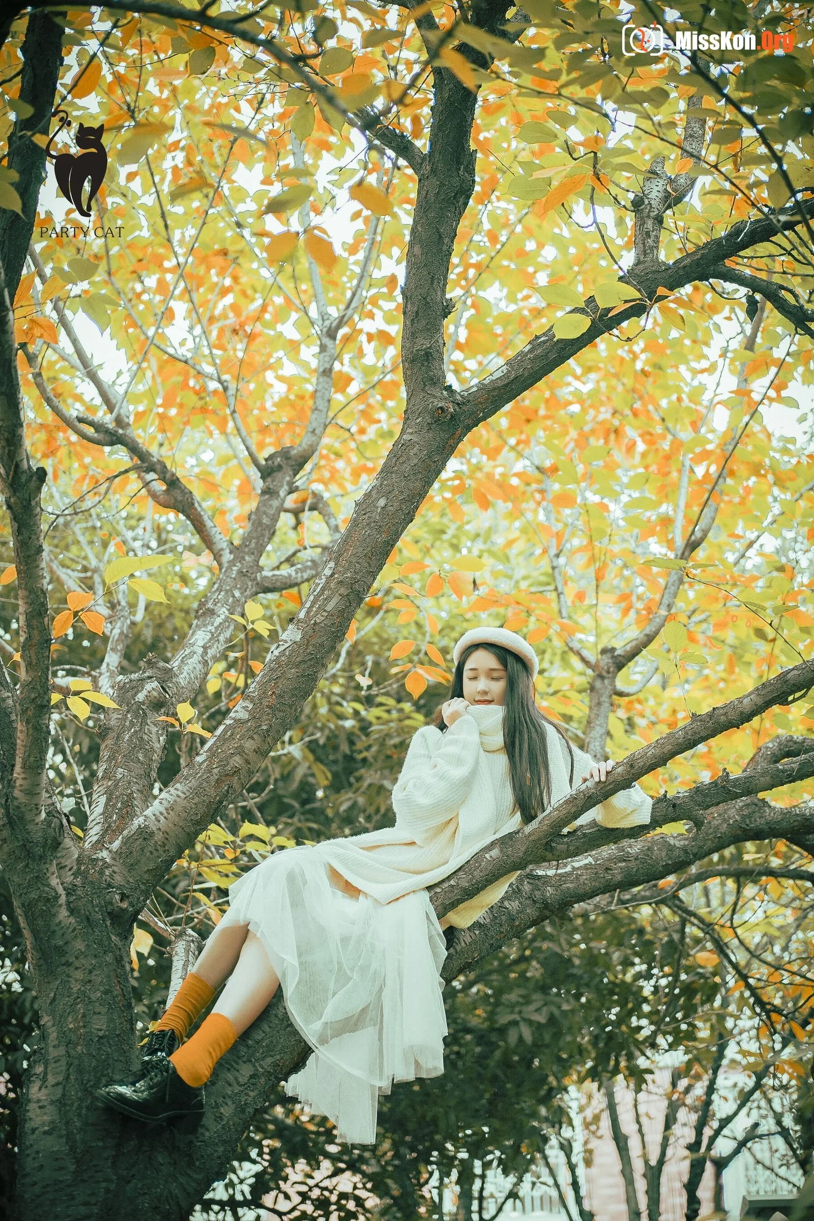Ququ - Photo 28
