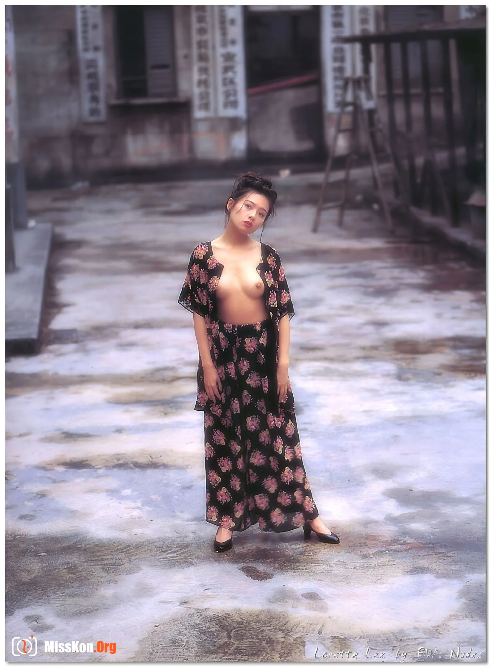Rachel Lee: Reminicsence - Photo 12