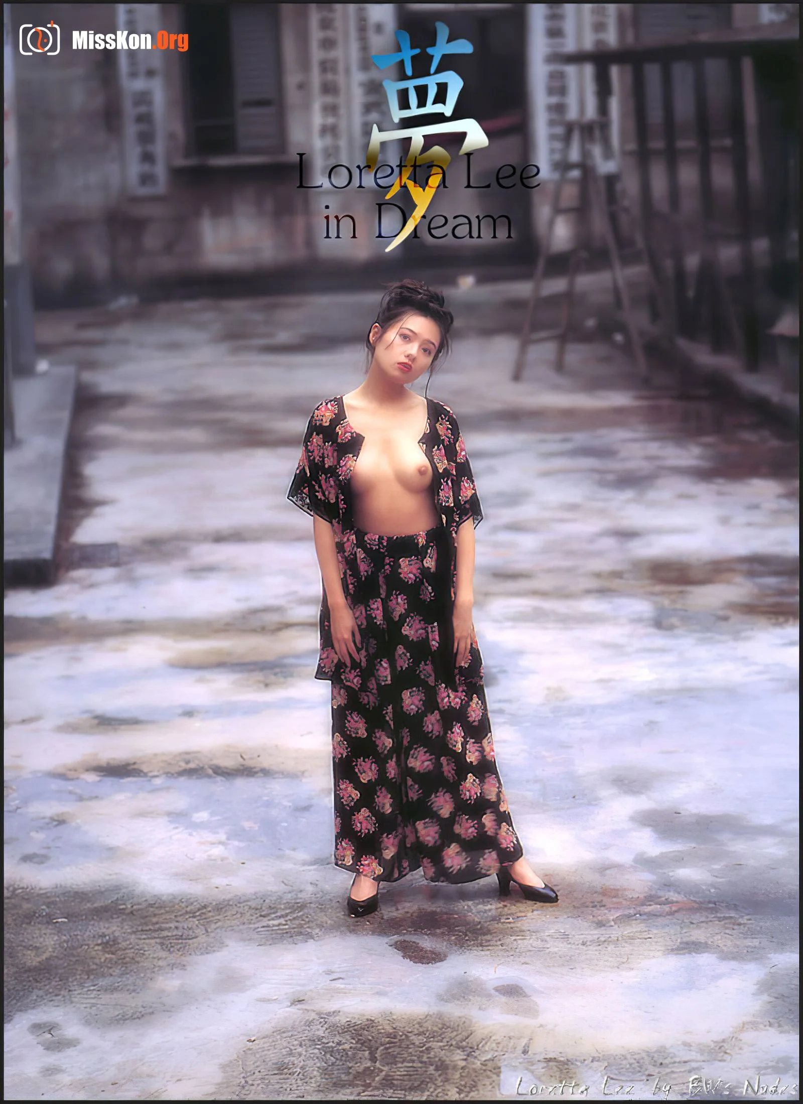 Rachel Lee: Reminicsence - Photo 5