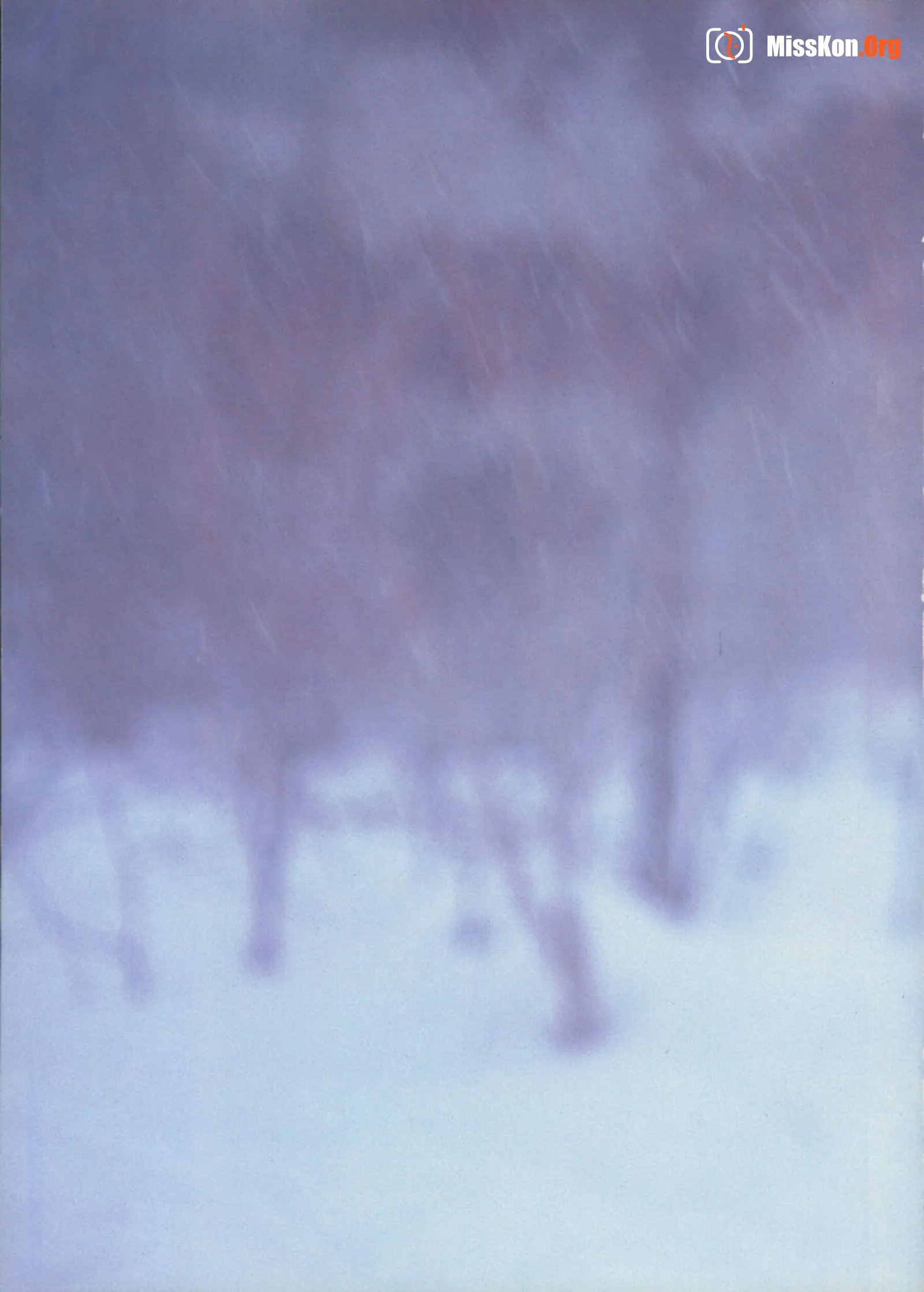 Rimi Tezuka: Four colors of fireworks (Vol. 1982.11) - Photo 10