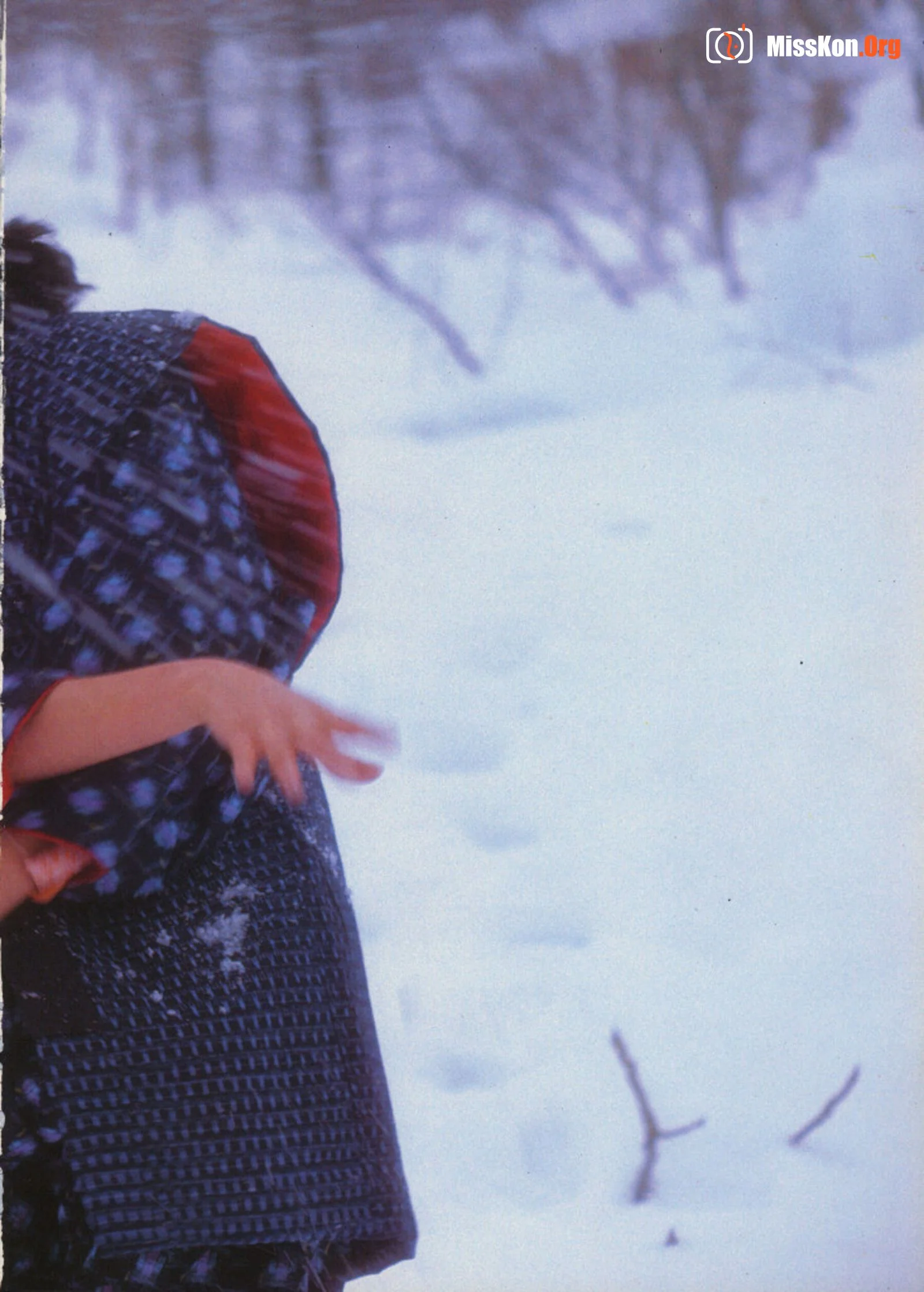 Rimi Tezuka: Four colors of fireworks (Vol. 1982.11) - Photo 19