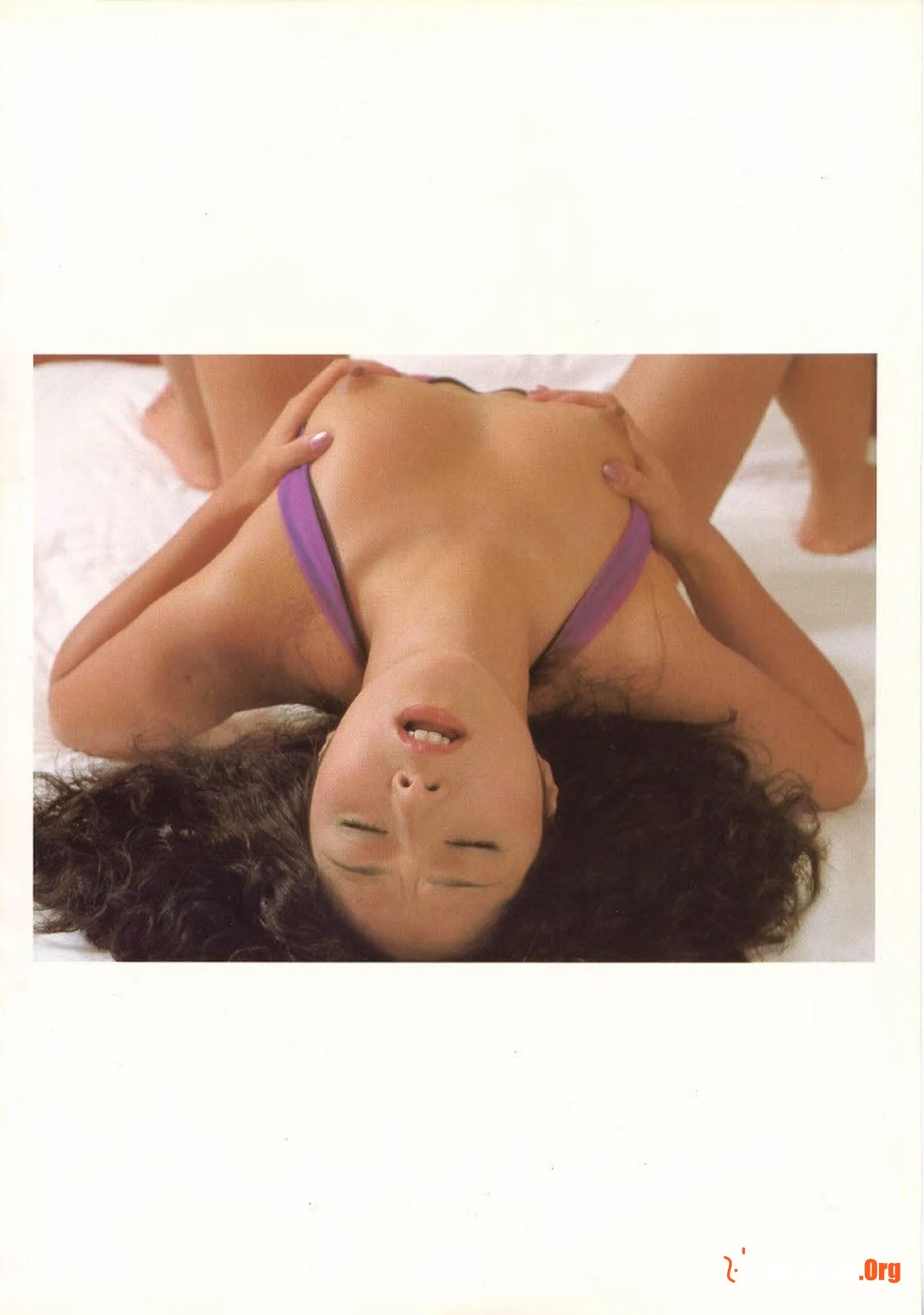 safflower (1981-01-01) - Photo 17