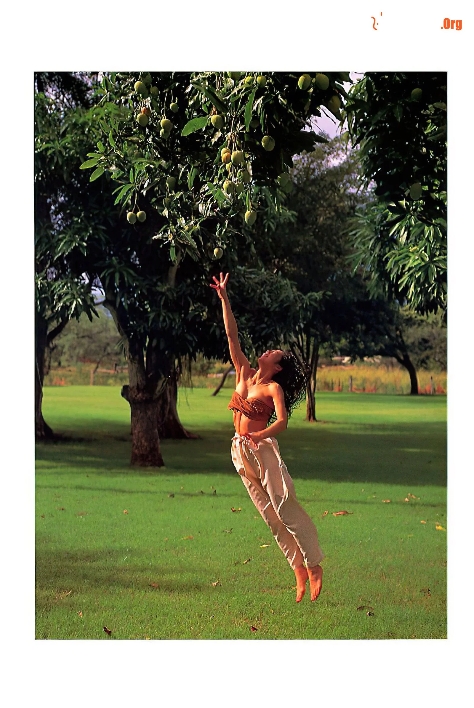Sawako Kitahara: 27 years takeoff (1992-07-10) - Photo 5