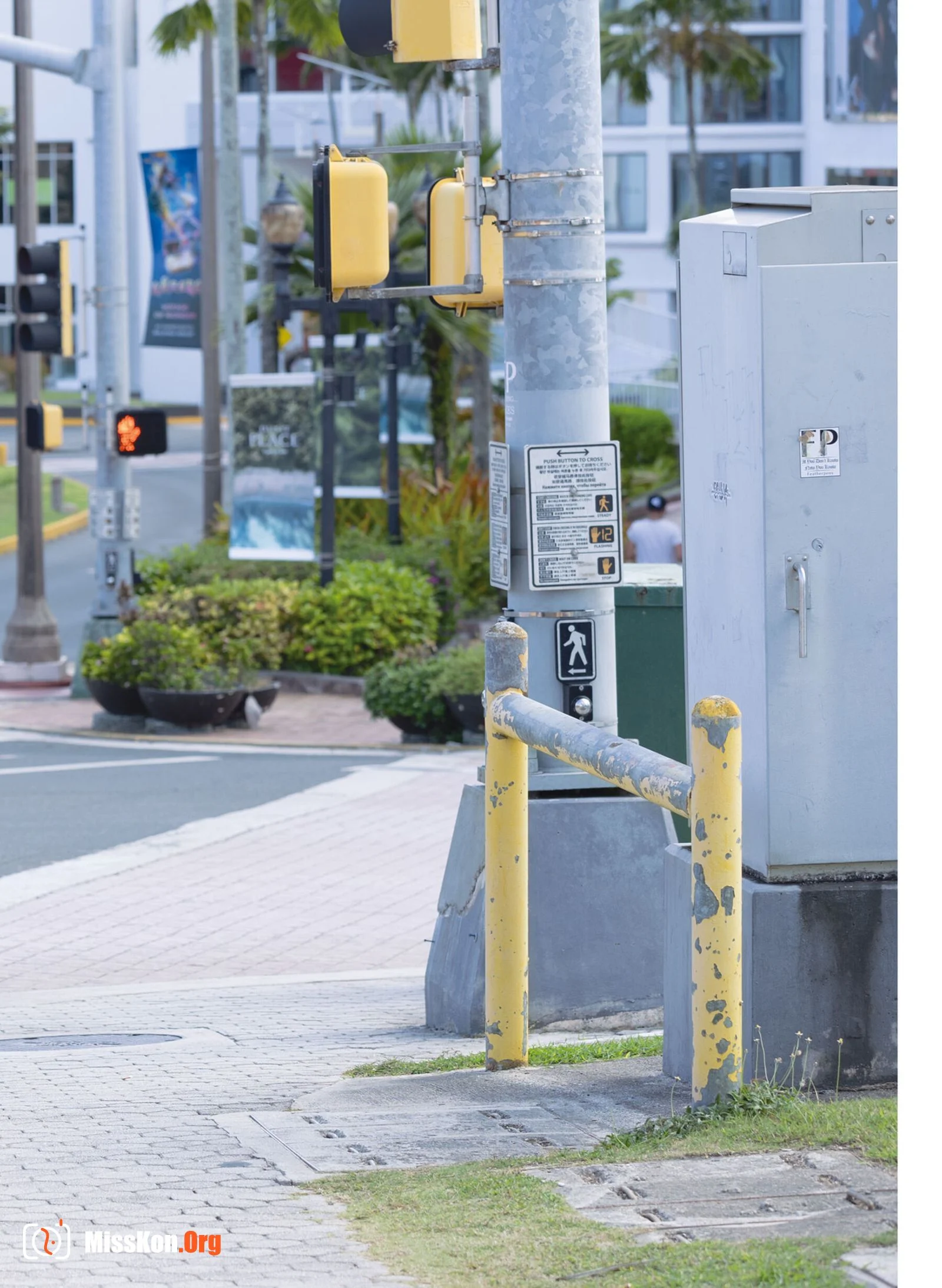 Sayaka Nitori's "Colon" - Photo 3