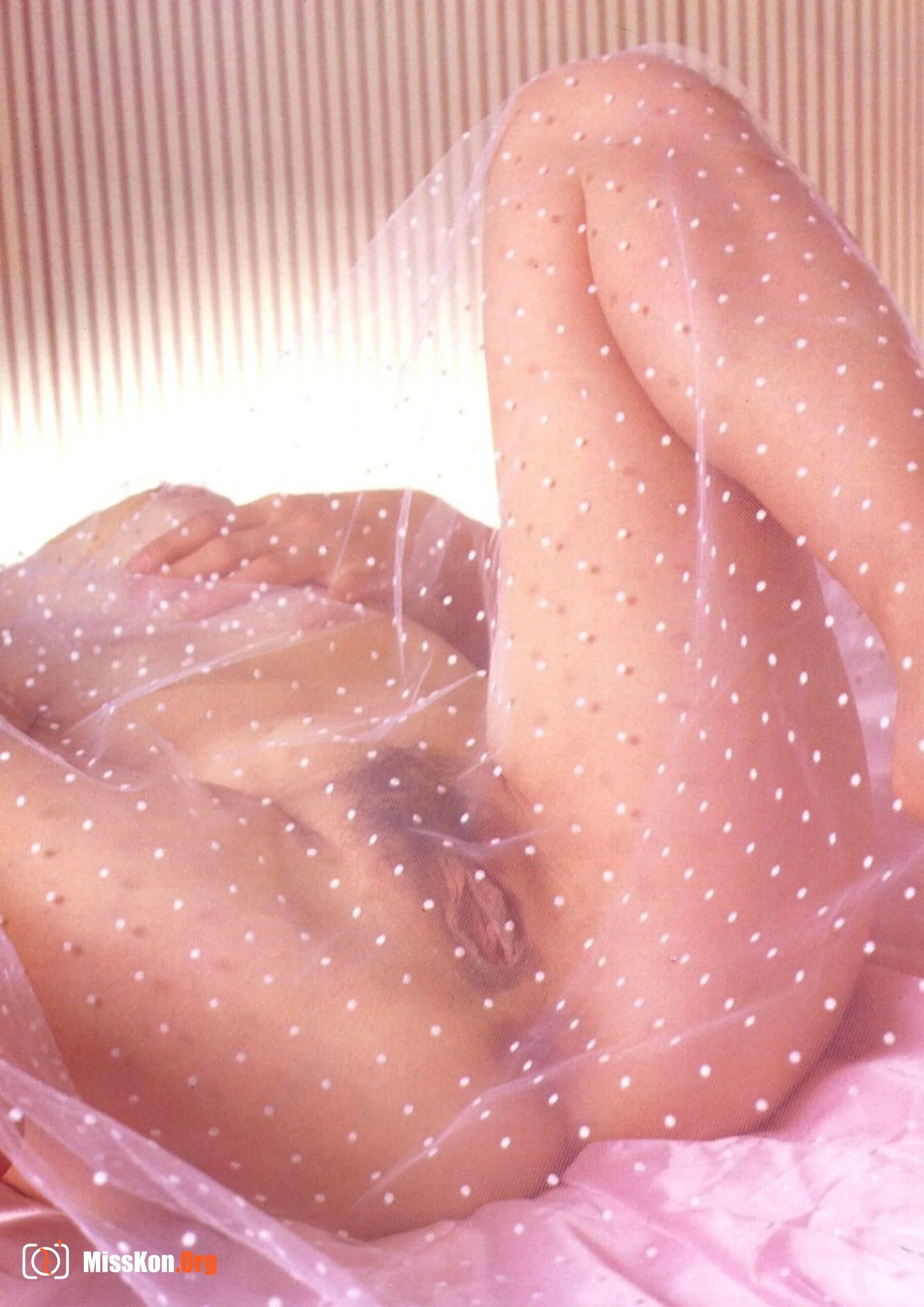 Shino Fujio: Wedding - Photo 10