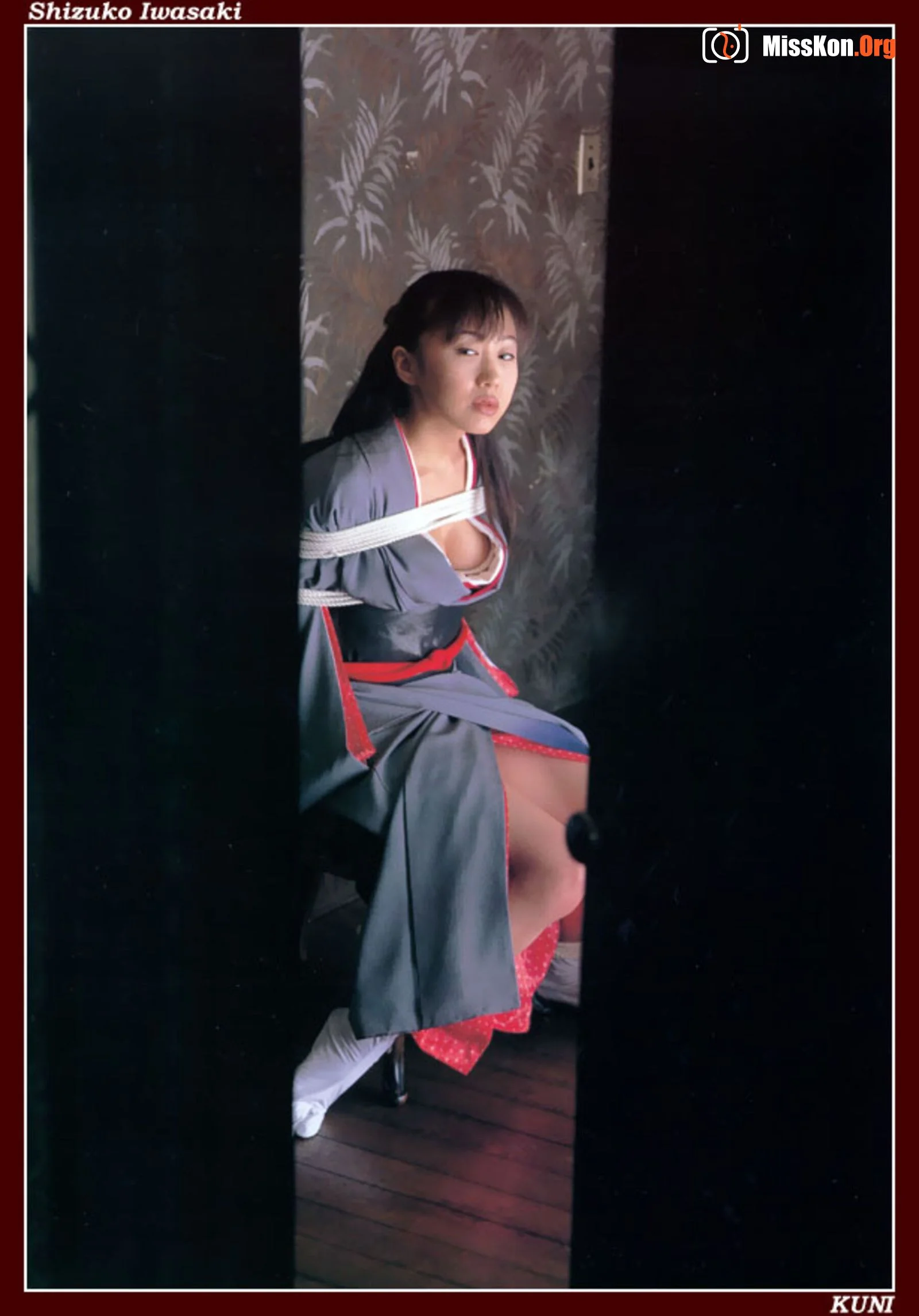 Shizuko Iwasaki - Photo 19