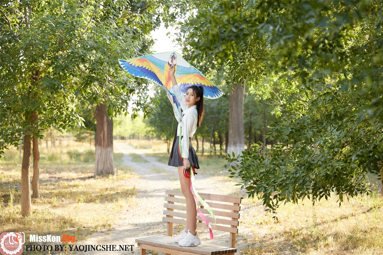 Siwen: Kite (T2033) - Photo 6