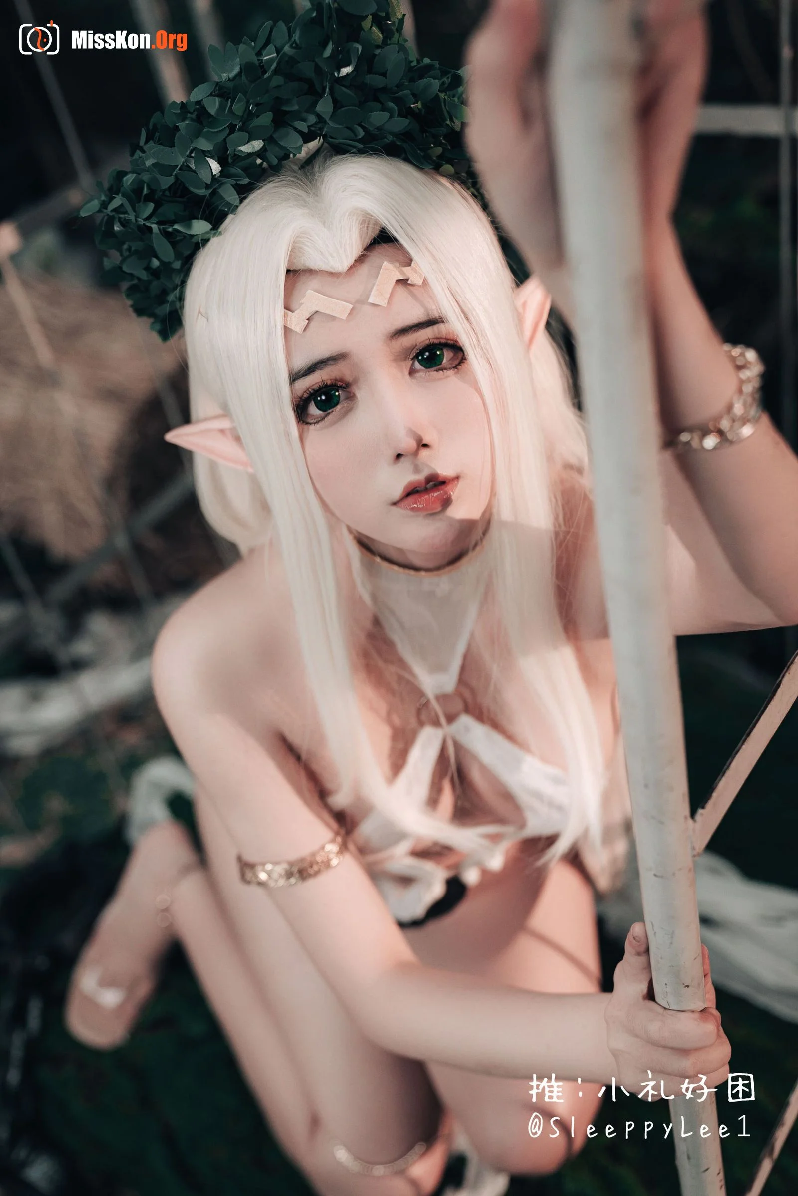 Sleepy Xiaoli: White elf - Photo 7