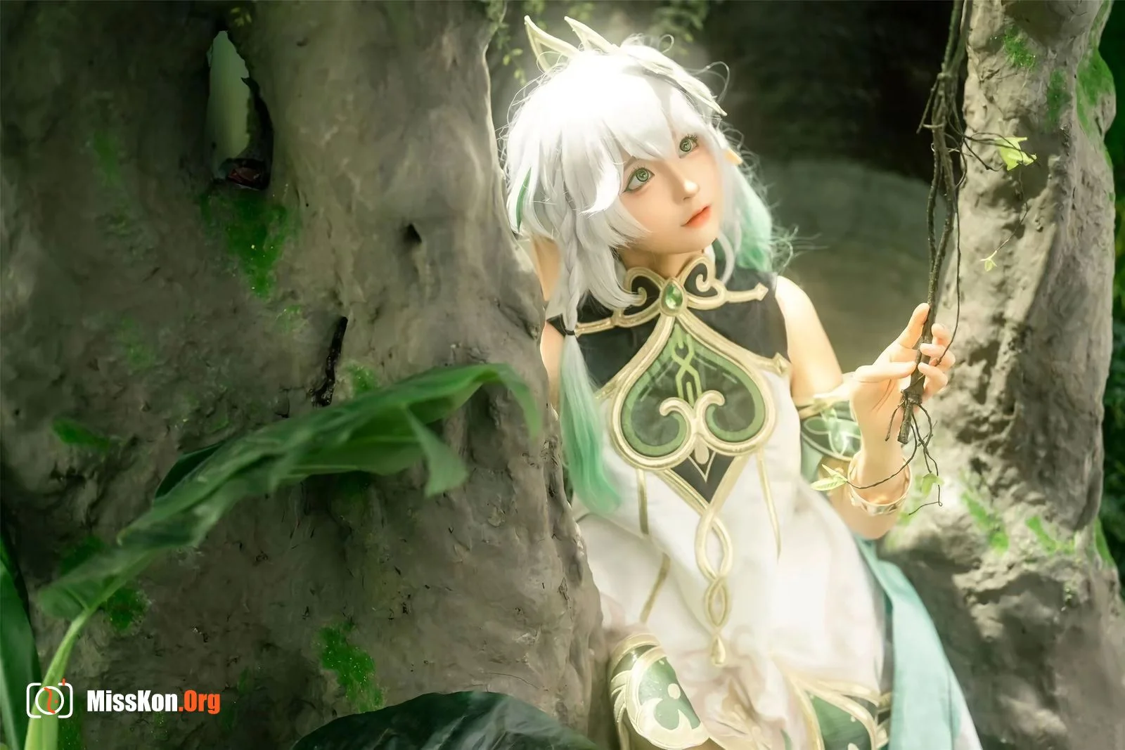 Stupid Momo: Great Kindness Tree King - Photo 5