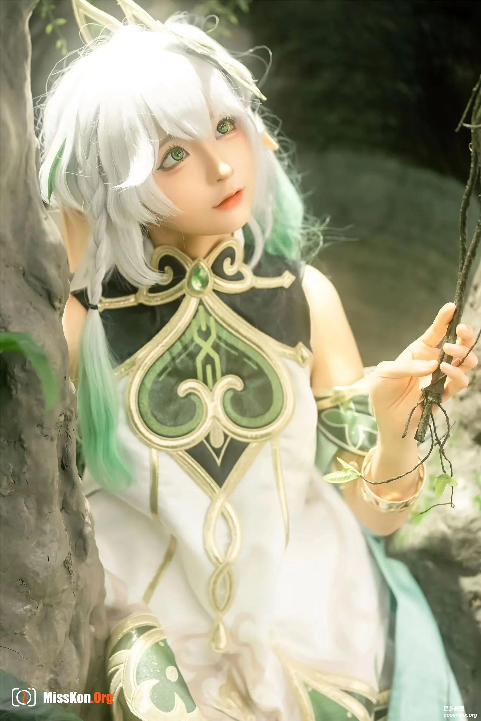 Stupid Momo: Great Kindness Tree King - Photo 8