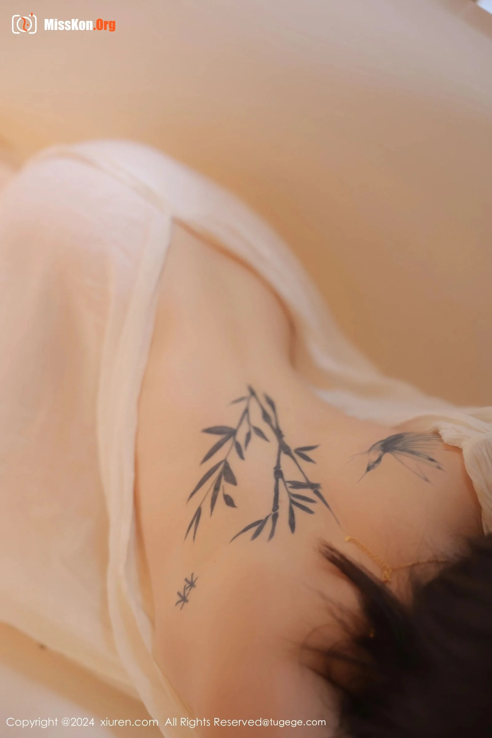 Summer Bamboo - Photo 35