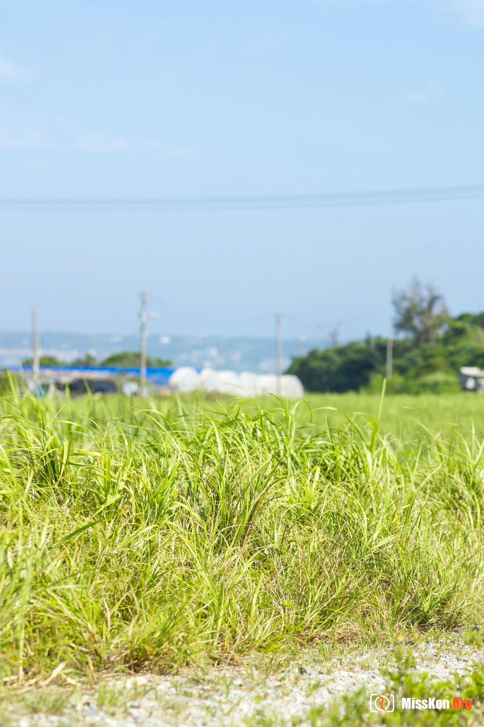 Suzumura Airi: Okinawa Photoshoot Part 2 Shining - Photo 3