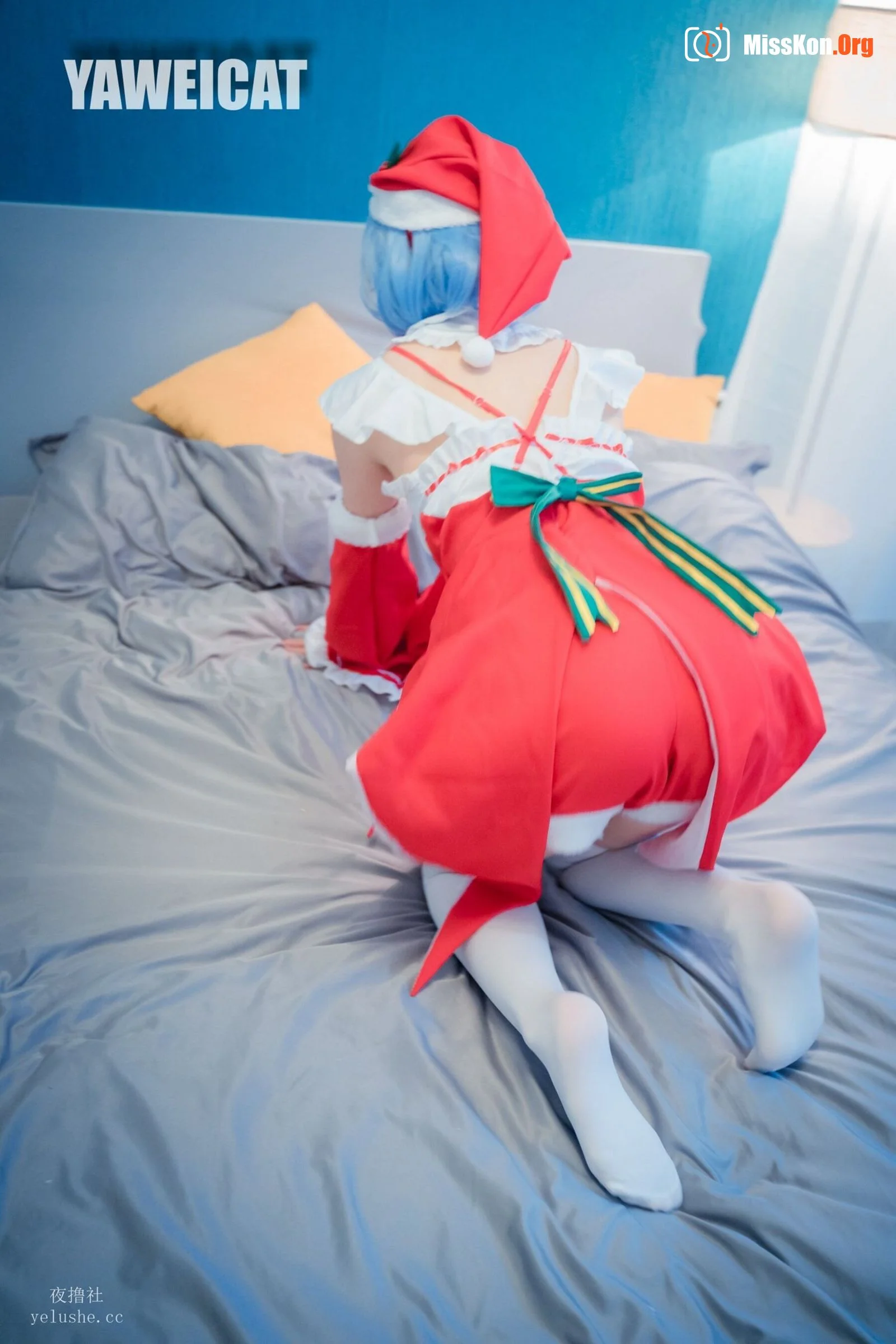 Tailed cat: Rem - Photo 10