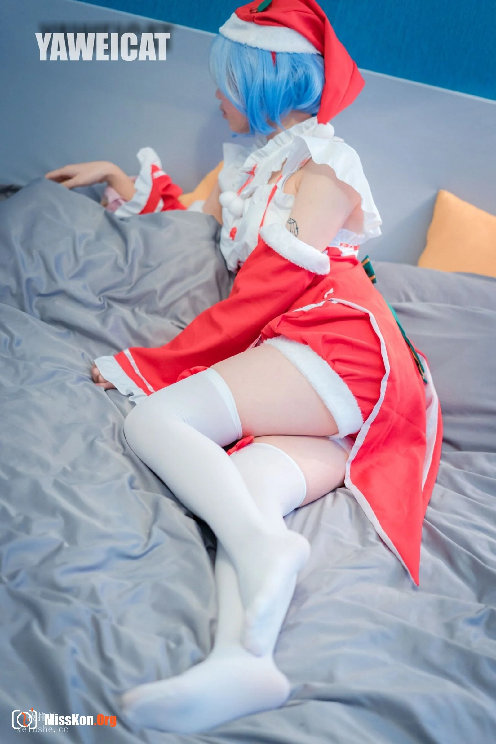 Tailed cat: Rem - Photo 14