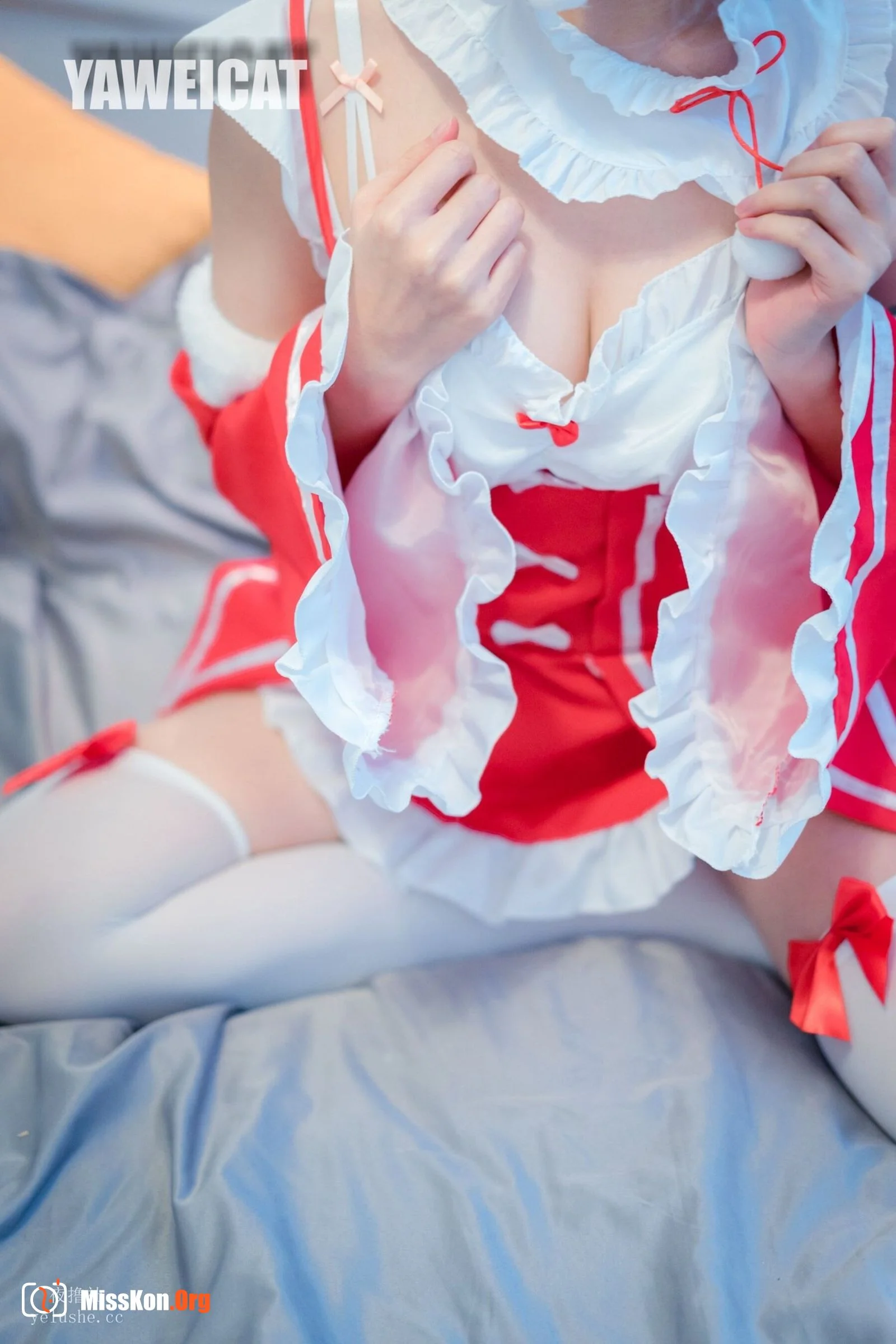 Tailed cat: Rem - Photo 17