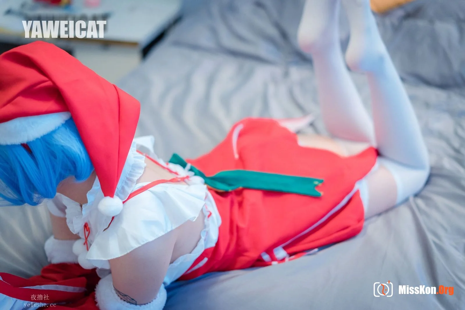 Tailed cat: Rem - Photo 19