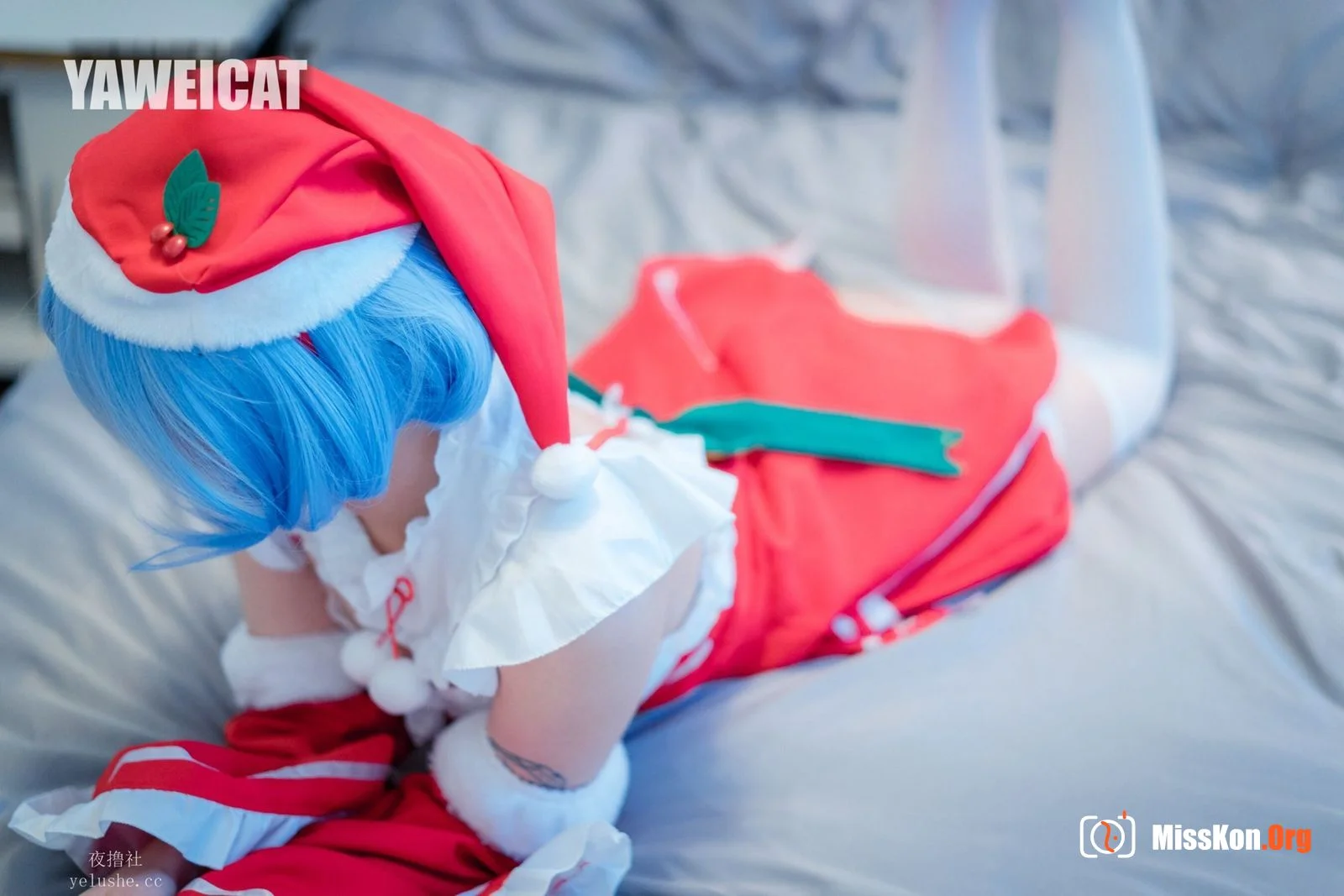 Tailed cat: Rem - Photo 20