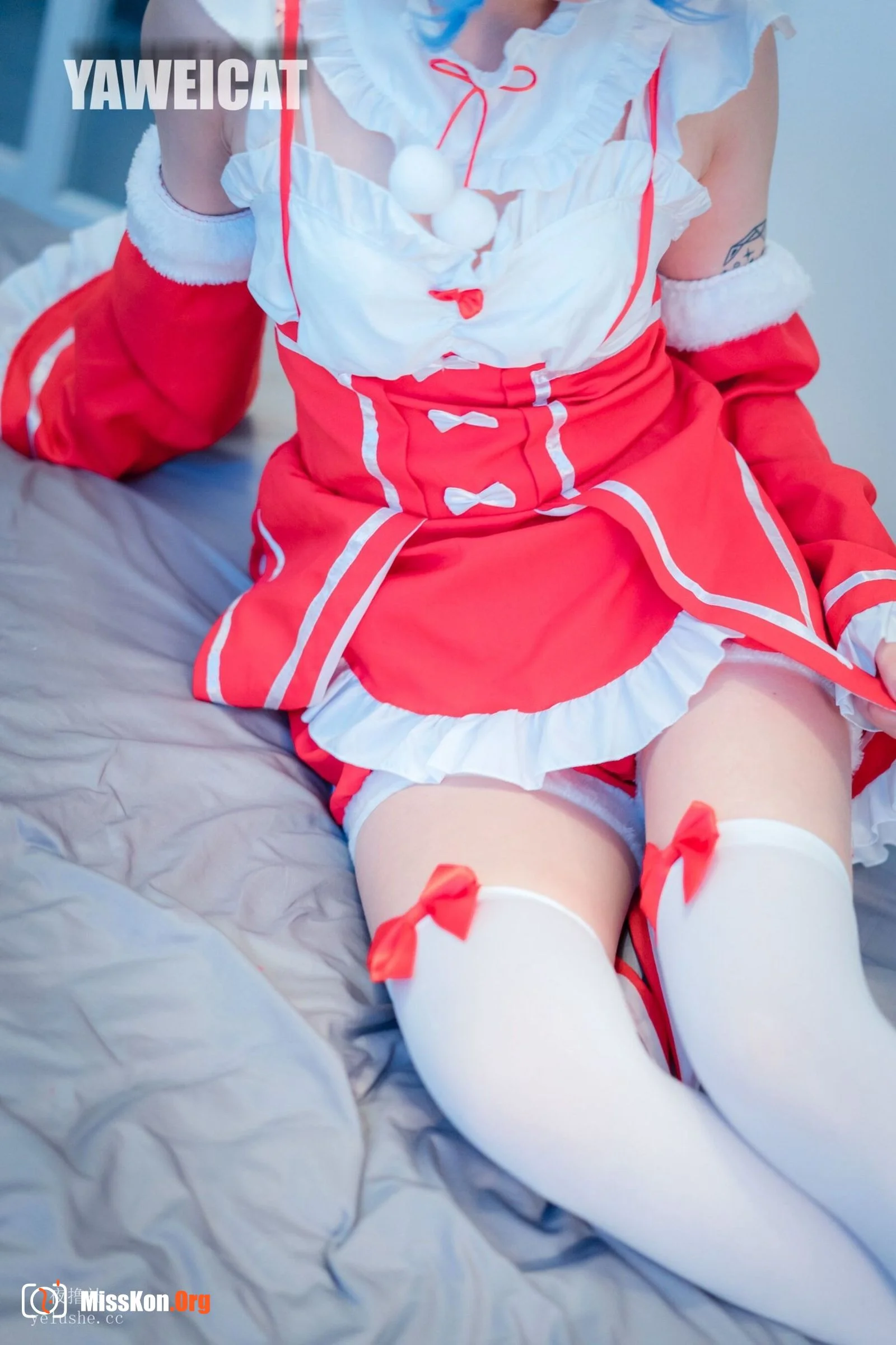 Tailed cat: Rem - Photo 23