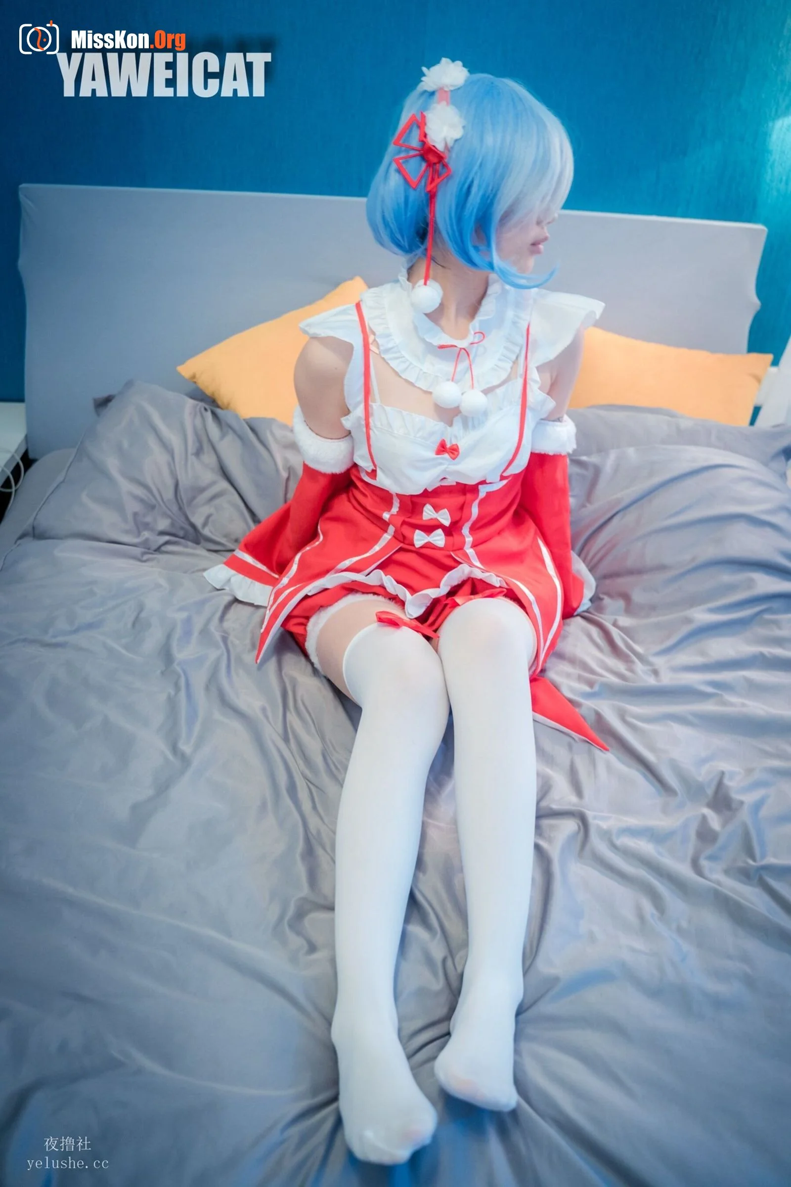 Tailed cat: Rem - Photo 6