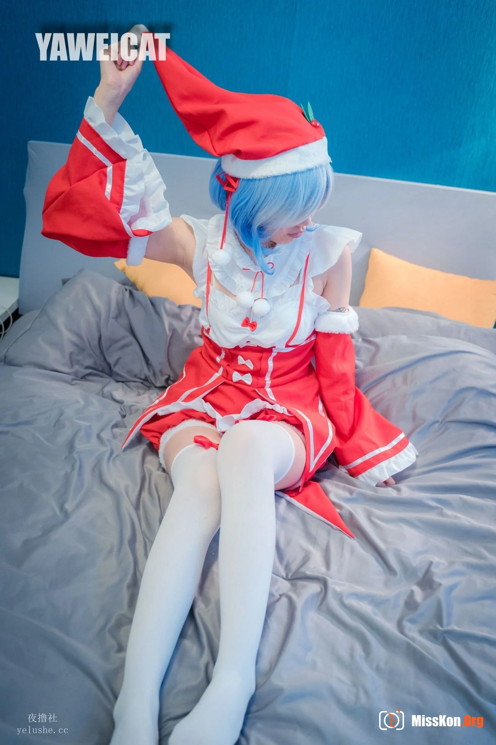Tailed cat: Rem - Photo 7
