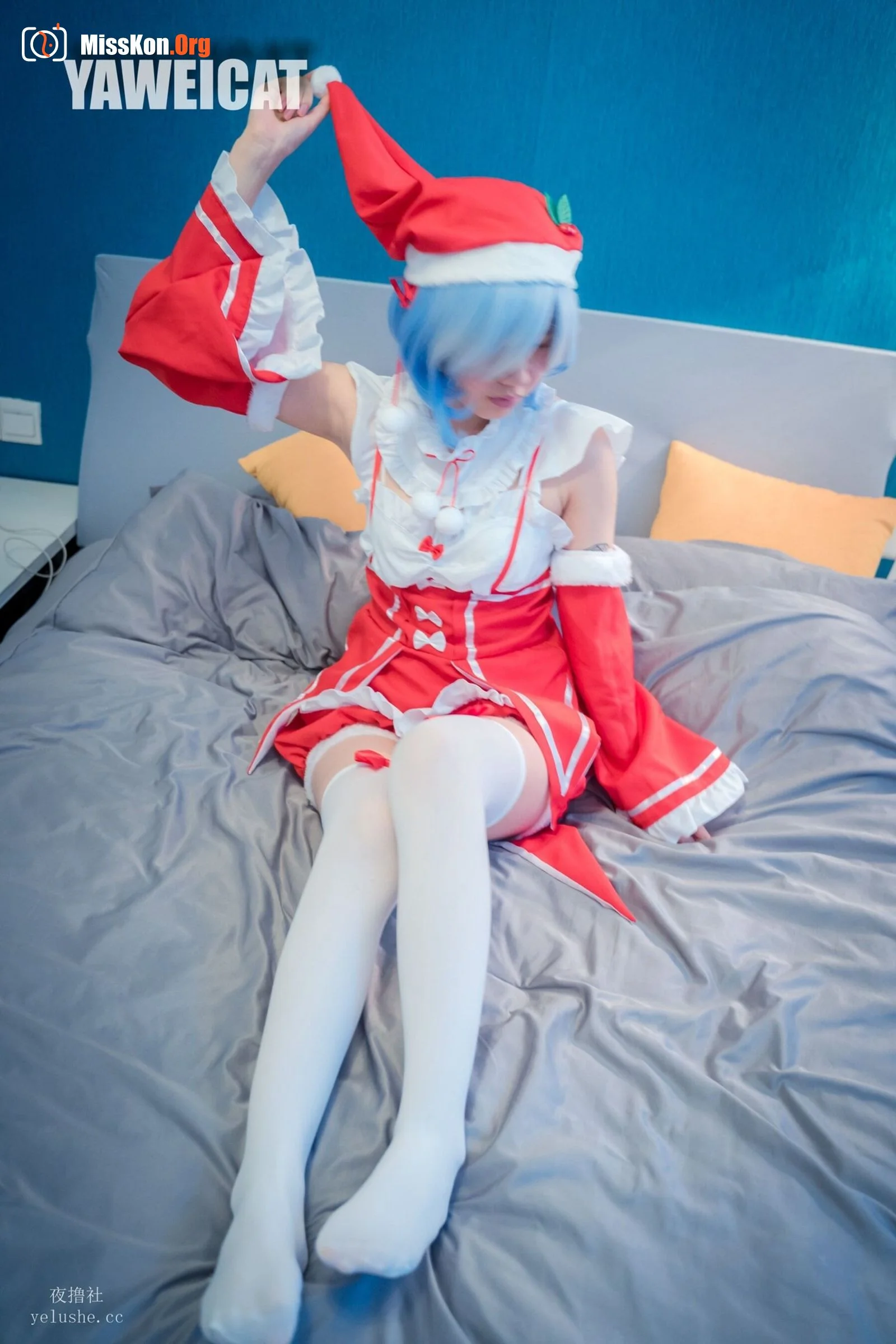 Tailed cat: Rem - Photo 8