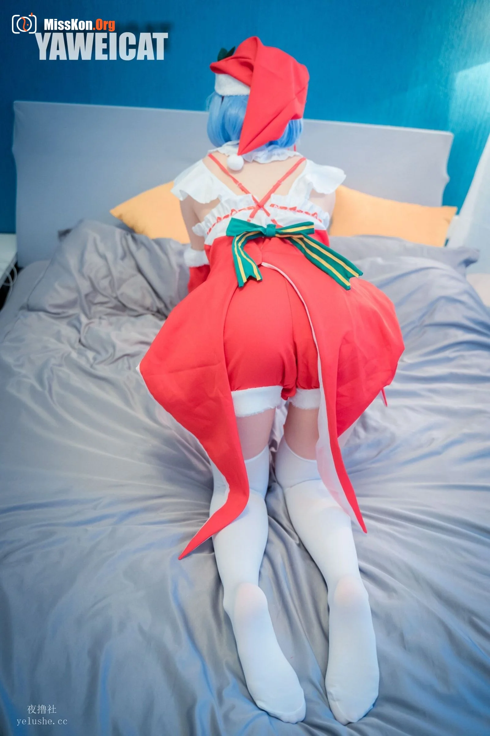 Tailed cat: Rem - Photo 9