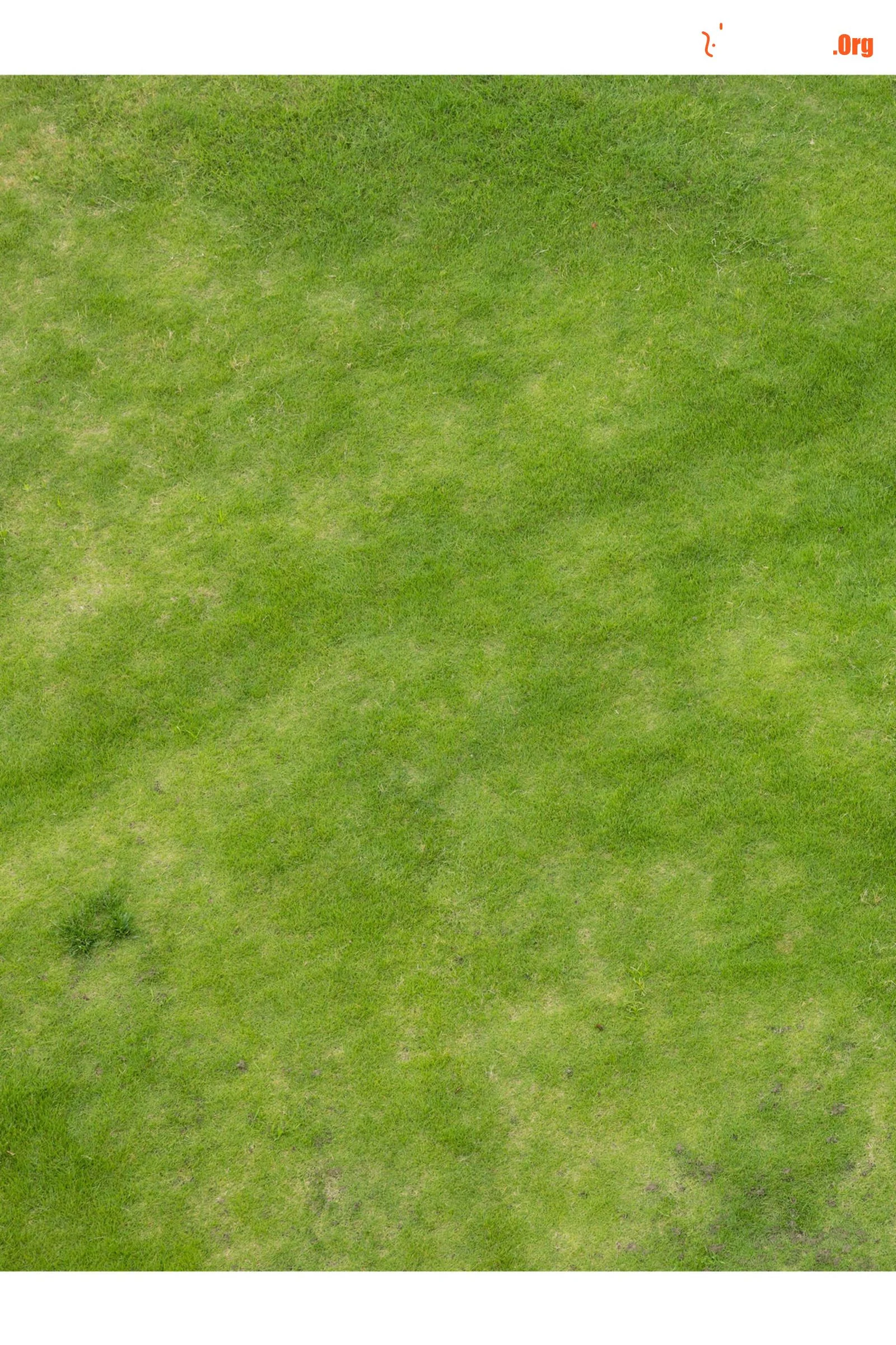 Takimoto Shizuku: Naturally Another Cut - Photo 7