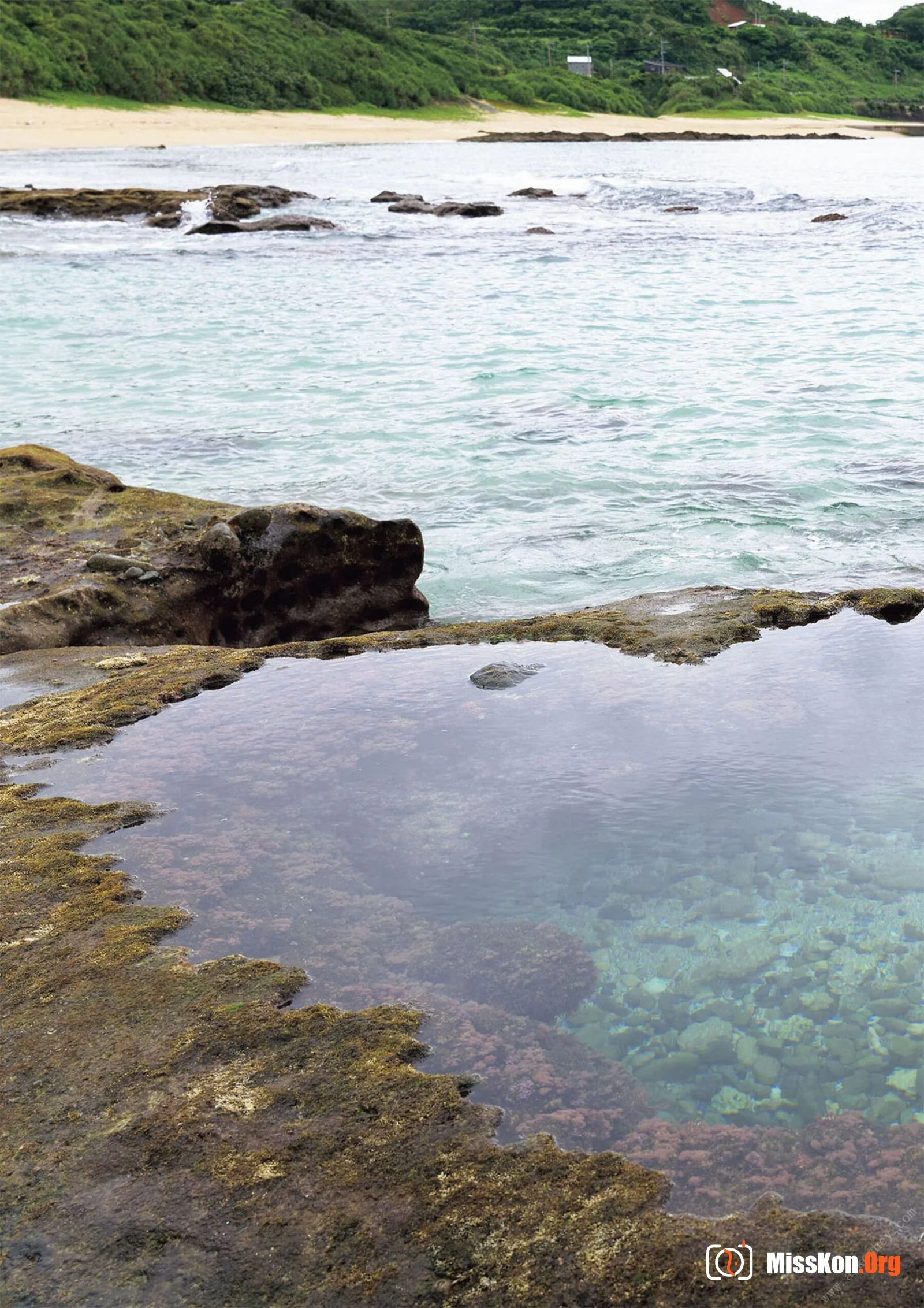 Tanaka Remon: Karen's Amami Oshima Sightseeing Tour - Photo 3