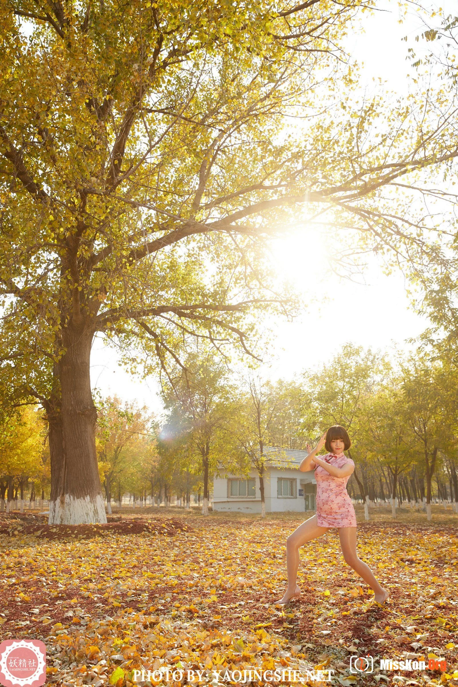 Tang Feifei: Little Tai Chi Master (T2103) - Photo 11