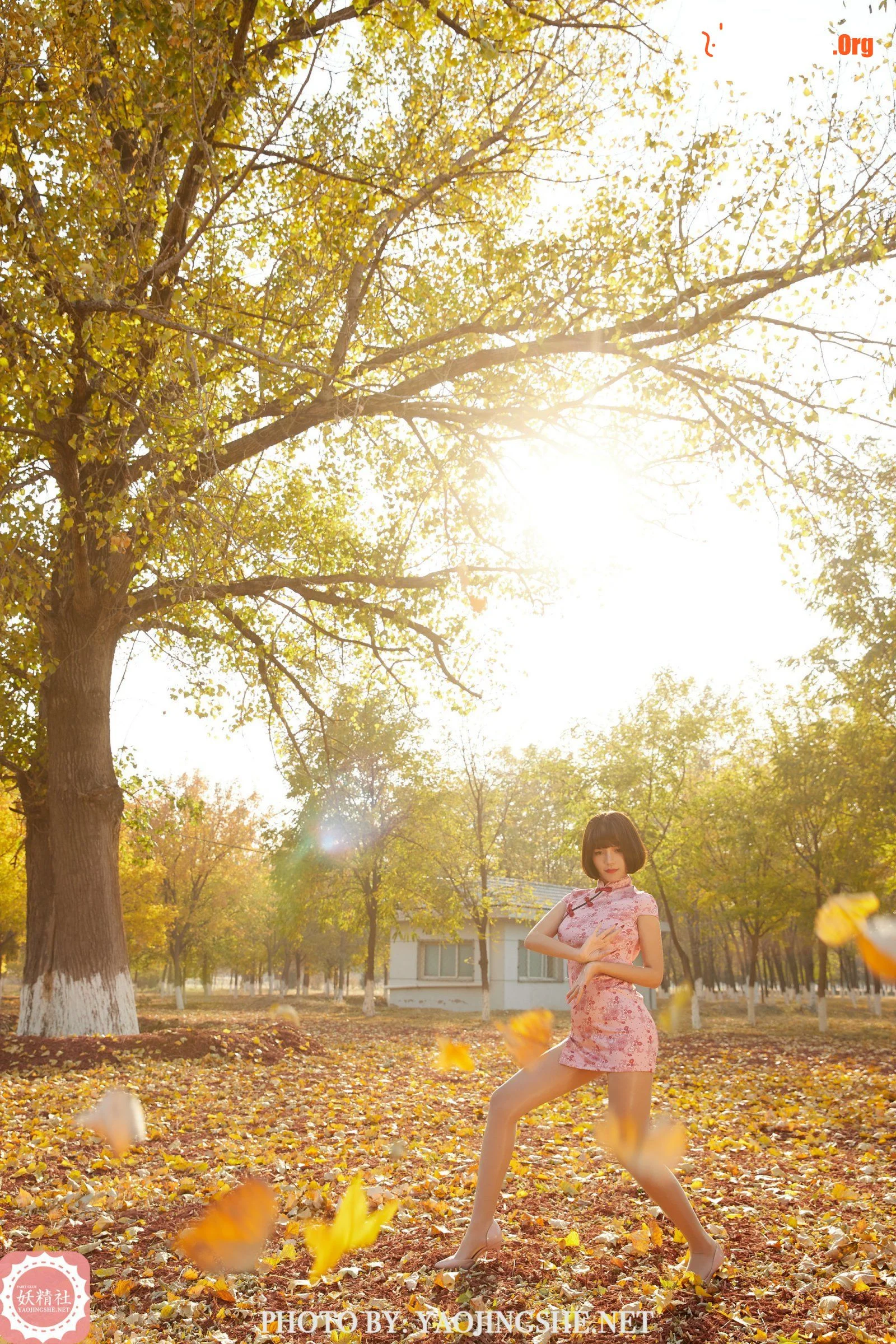 Tang Feifei: Little Tai Chi Master (T2103) - Photo 12