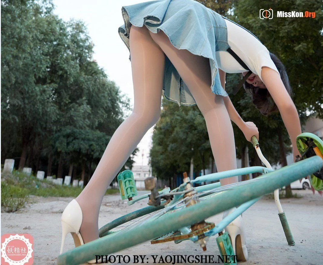 Tang Feifei: On the way home (T2043) - Photo 16