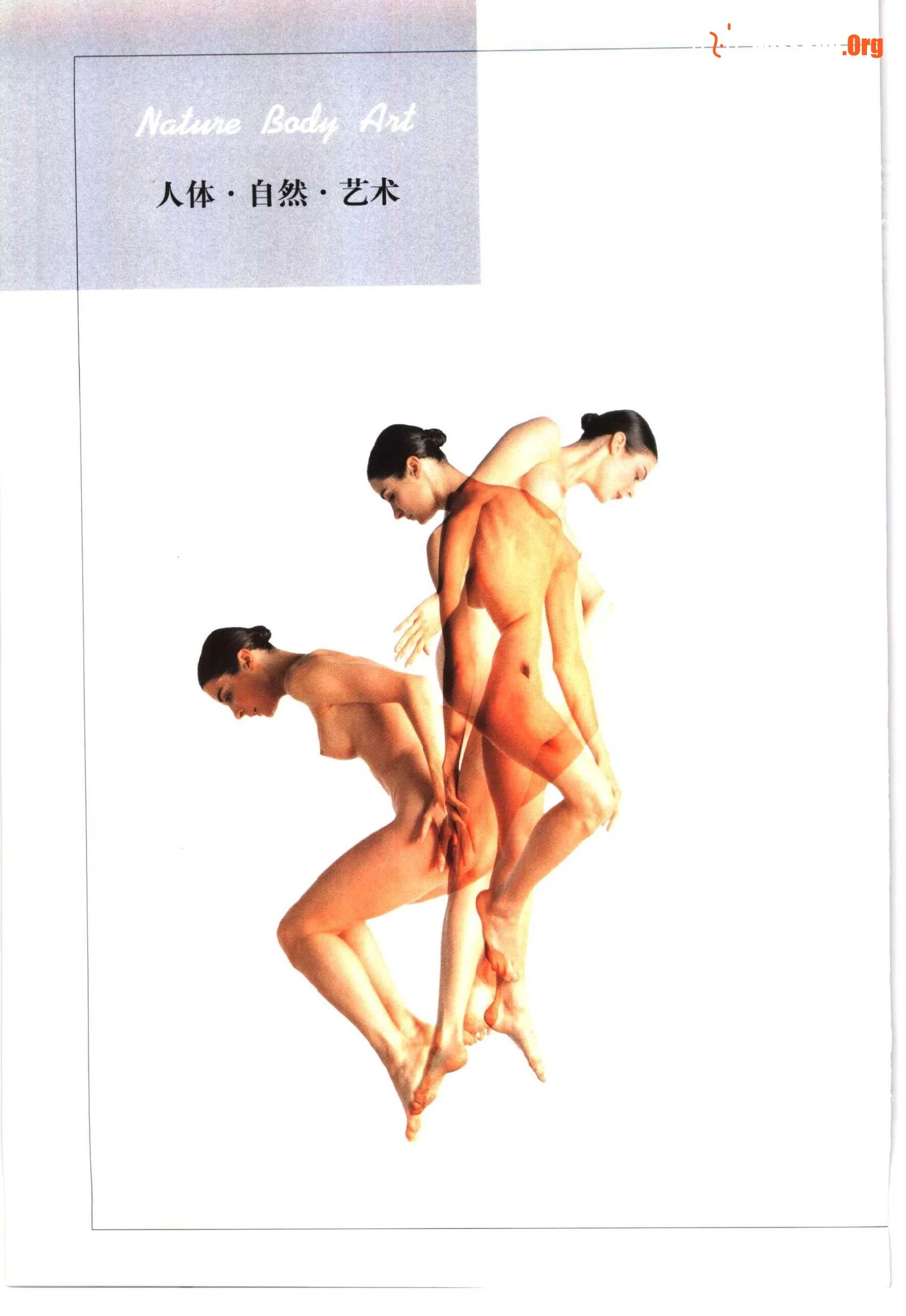 The Human Body·Nature·Art (Volume 2) (Yunnan Fine Arts Publishing House) - Photo 8