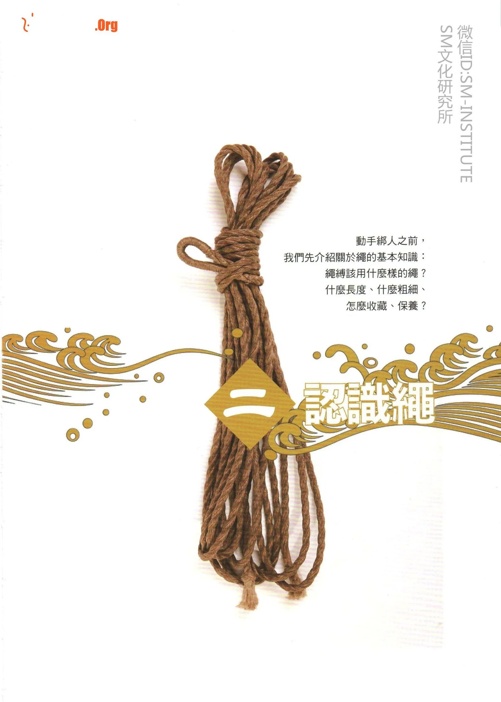 "The Skill of Rope Binding" by Kobayashi Rope Gri - Photo 11