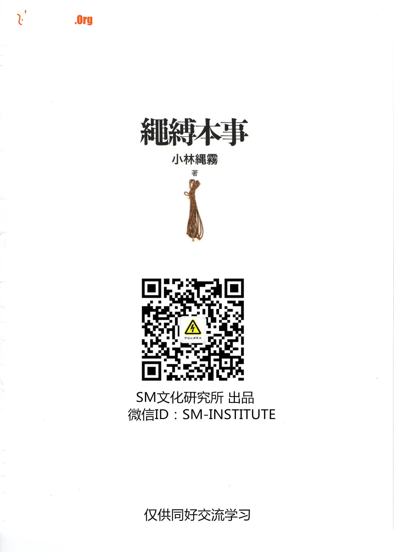 "The Skill of Rope Binding" by Kobayashi Rope Gri - Photo 2