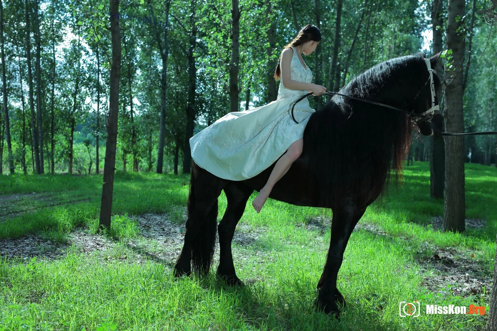 Tiyanenmo: Art on horseback - Photo 10
