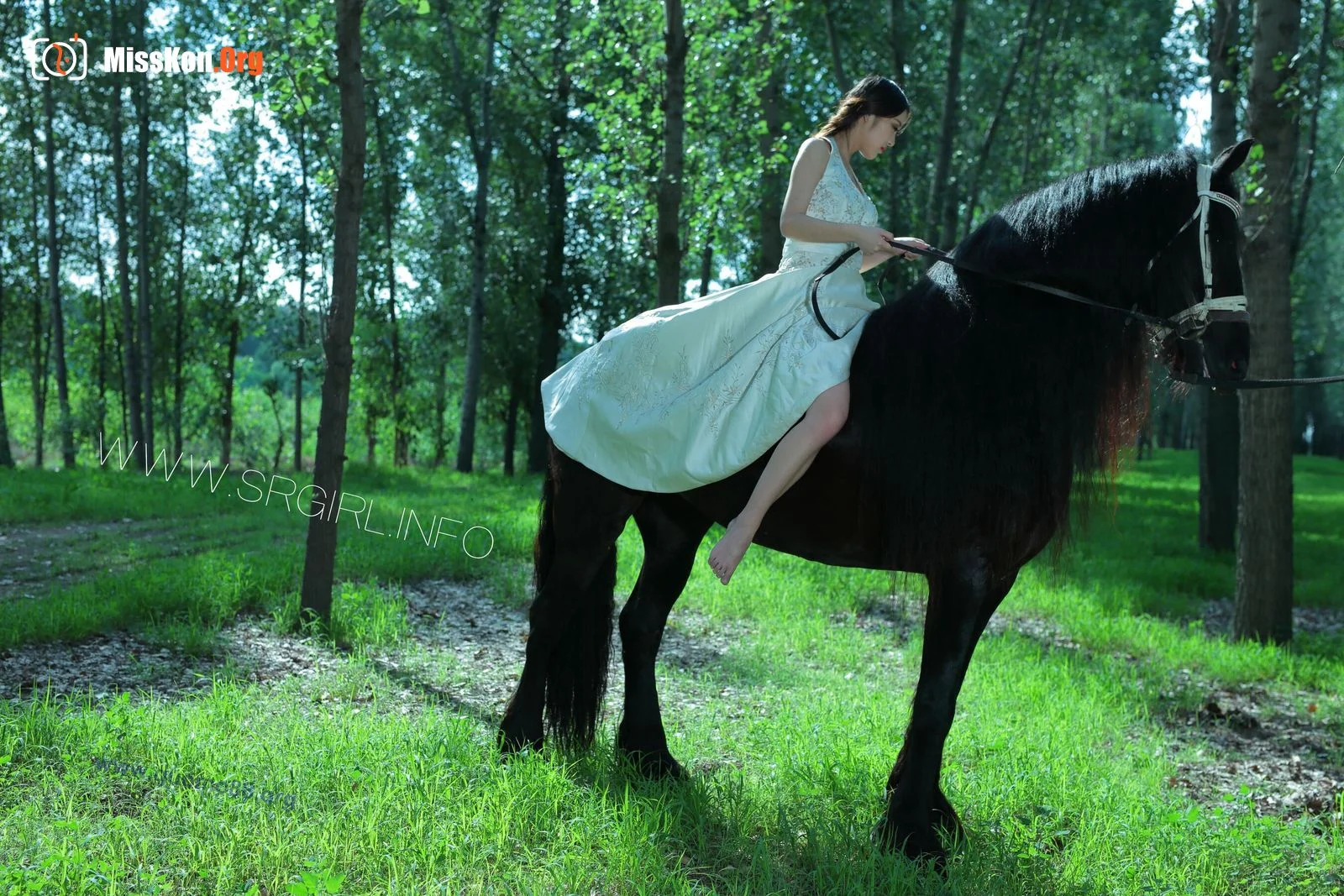 Tiyanenmo: Art on horseback - Photo 11