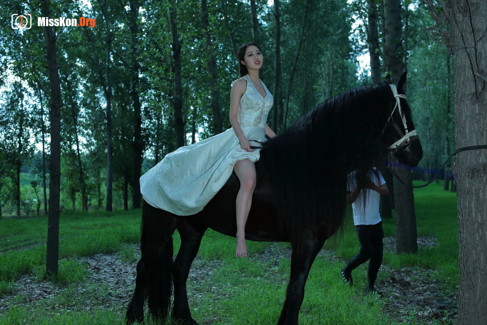 Tiyanenmo: Art on horseback - Photo 12