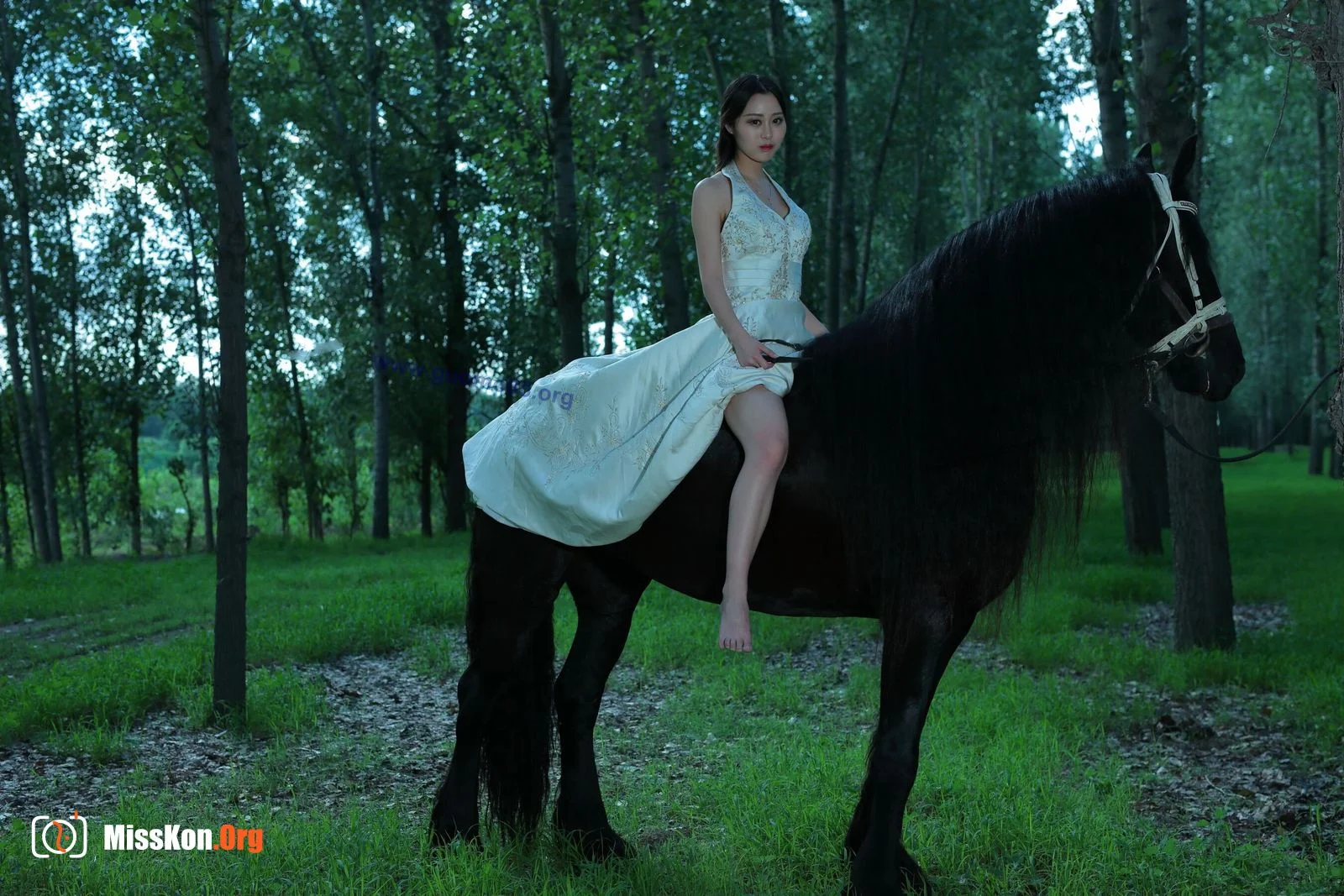 Tiyanenmo: Art on horseback - Photo 13