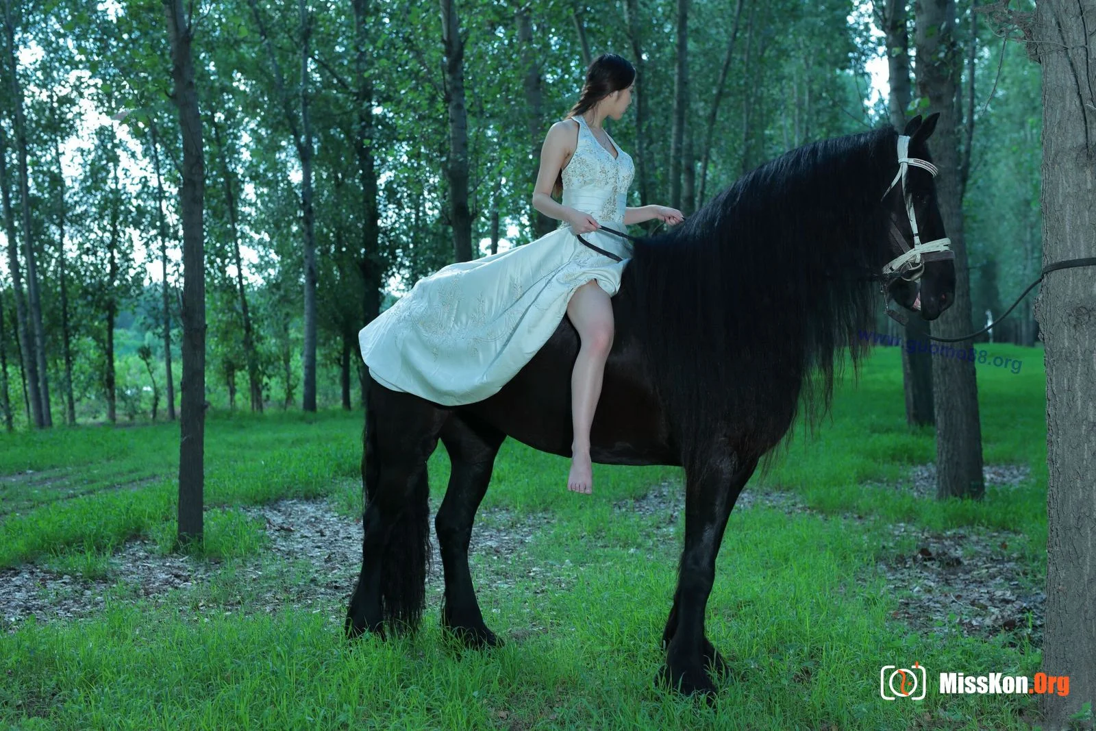 Tiyanenmo: Art on horseback - Photo 15