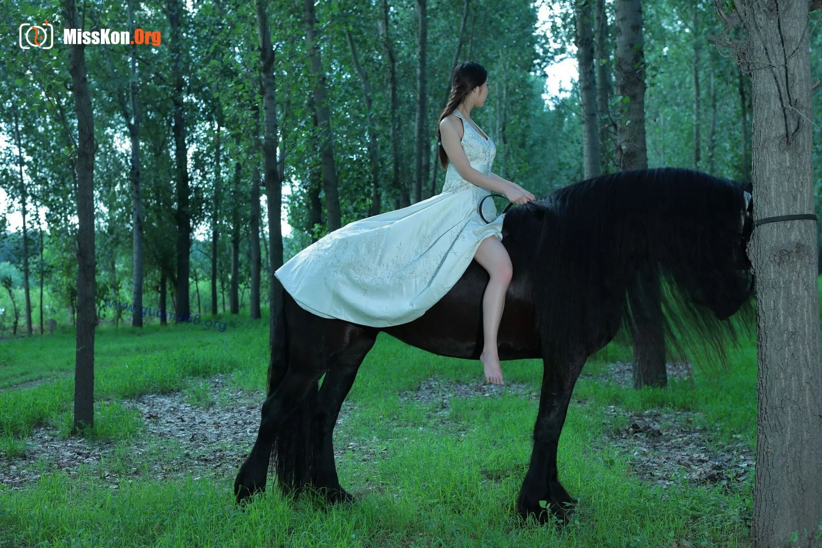 Tiyanenmo: Art on horseback - Photo 16