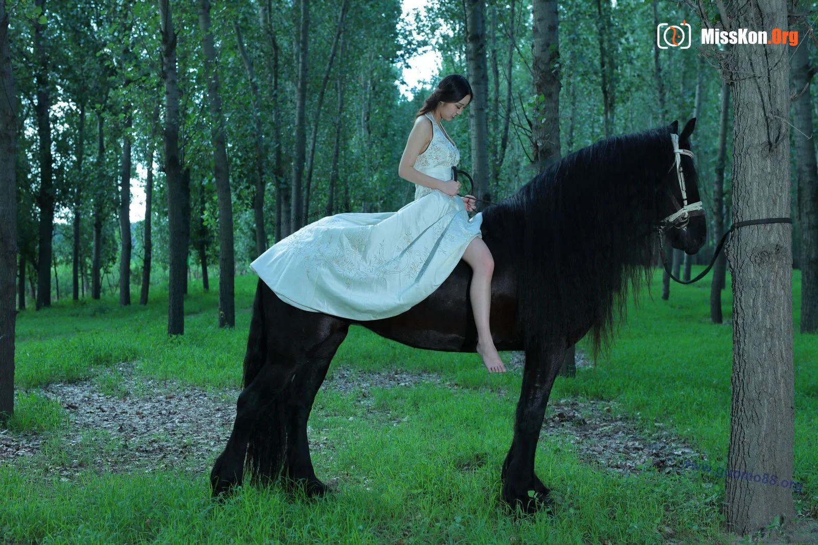 Tiyanenmo: Art on horseback - Photo 17