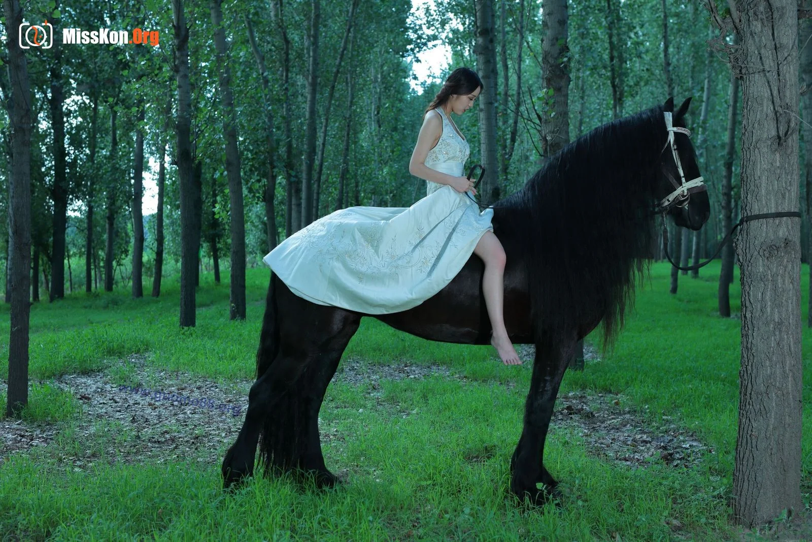 Tiyanenmo: Art on horseback - Photo 18