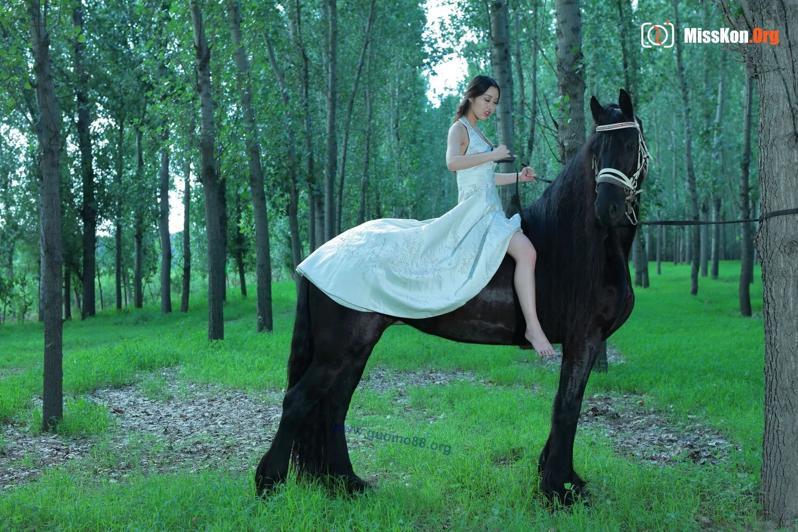 Tiyanenmo: Art on horseback - Photo 19