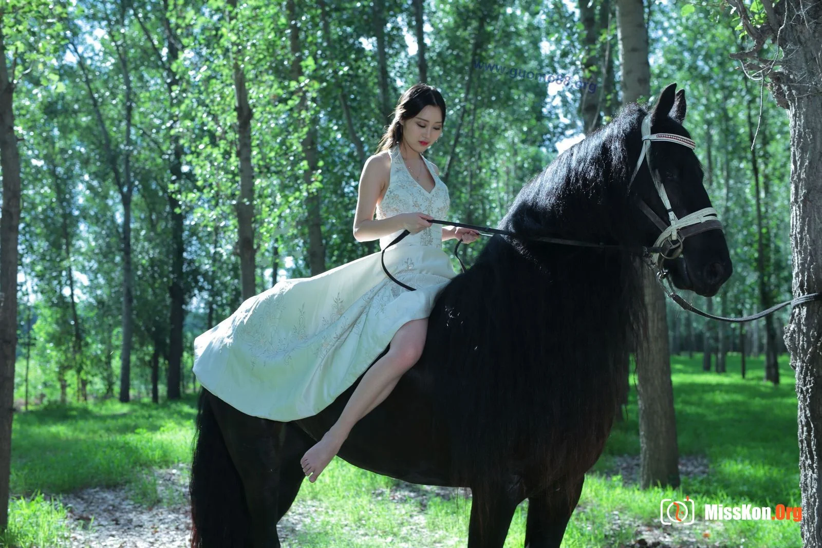 Tiyanenmo: Art on horseback - Photo 2