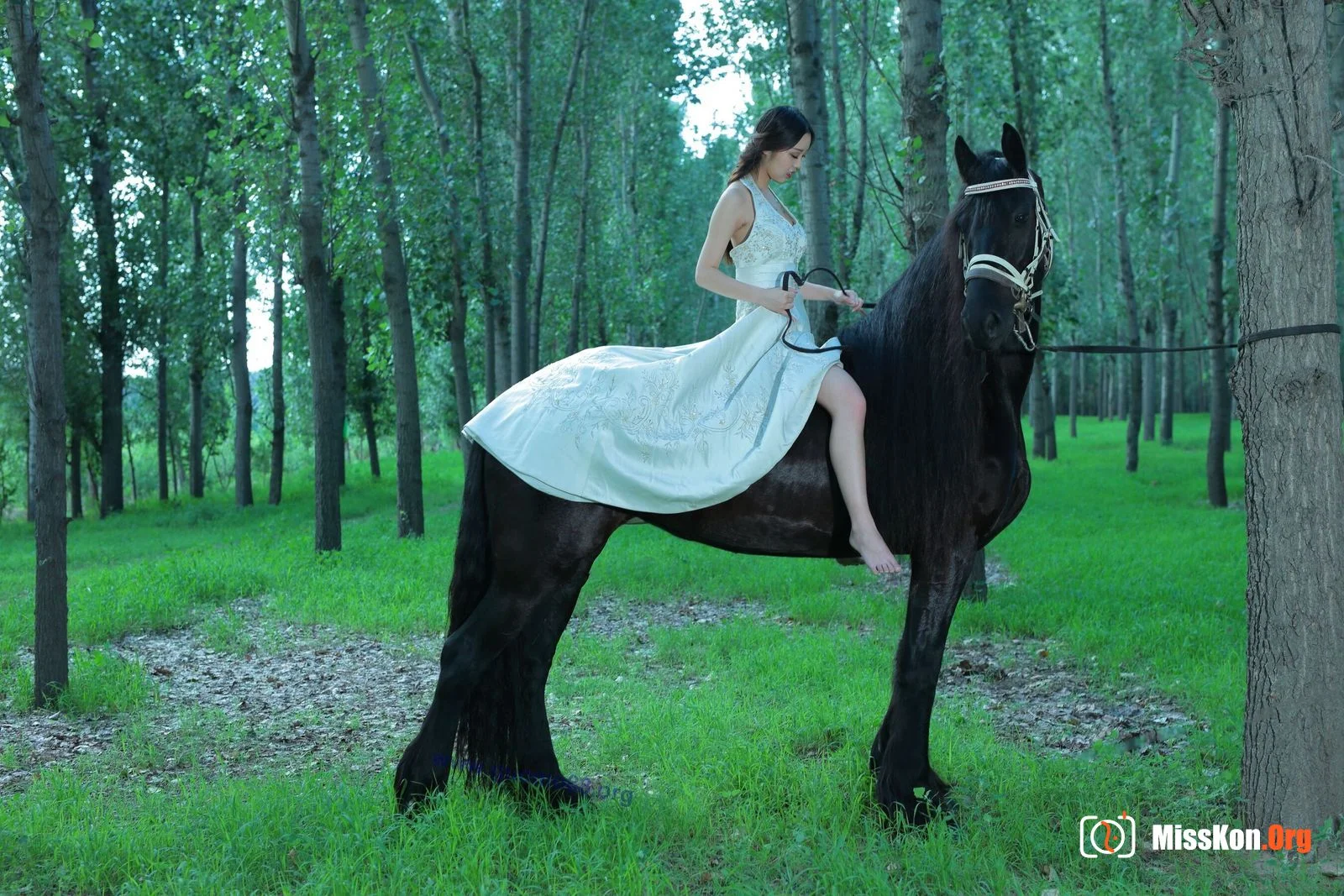 Tiyanenmo: Art on horseback - Photo 20