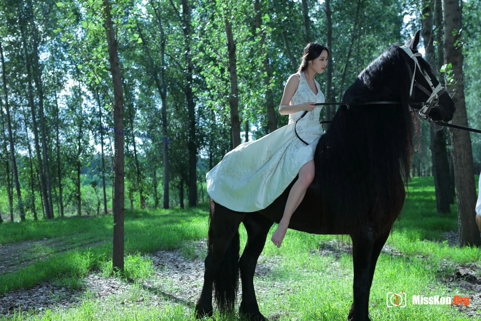 Tiyanenmo: Art on horseback - Photo 3