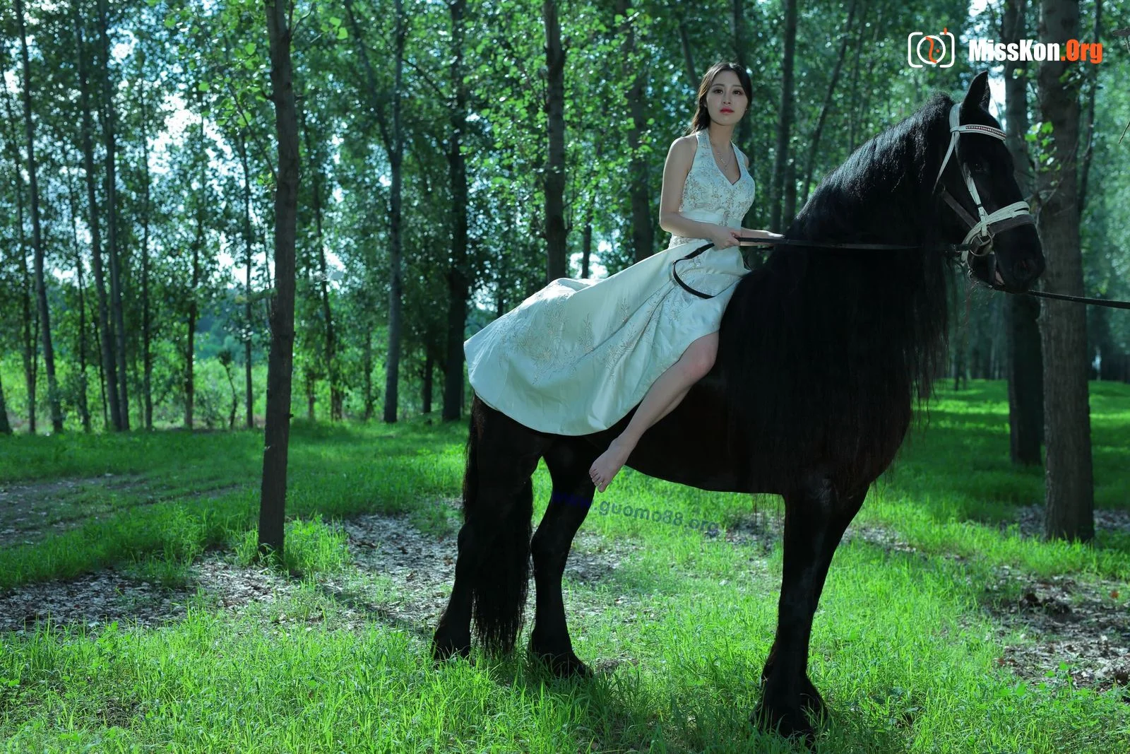 Tiyanenmo: Art on horseback - Photo 9