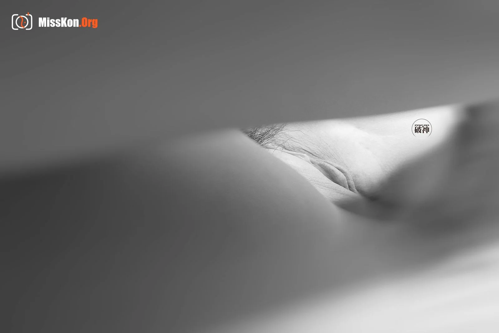 Tumblr original photographer Po Shen's crowdfunding work B - Photo 14