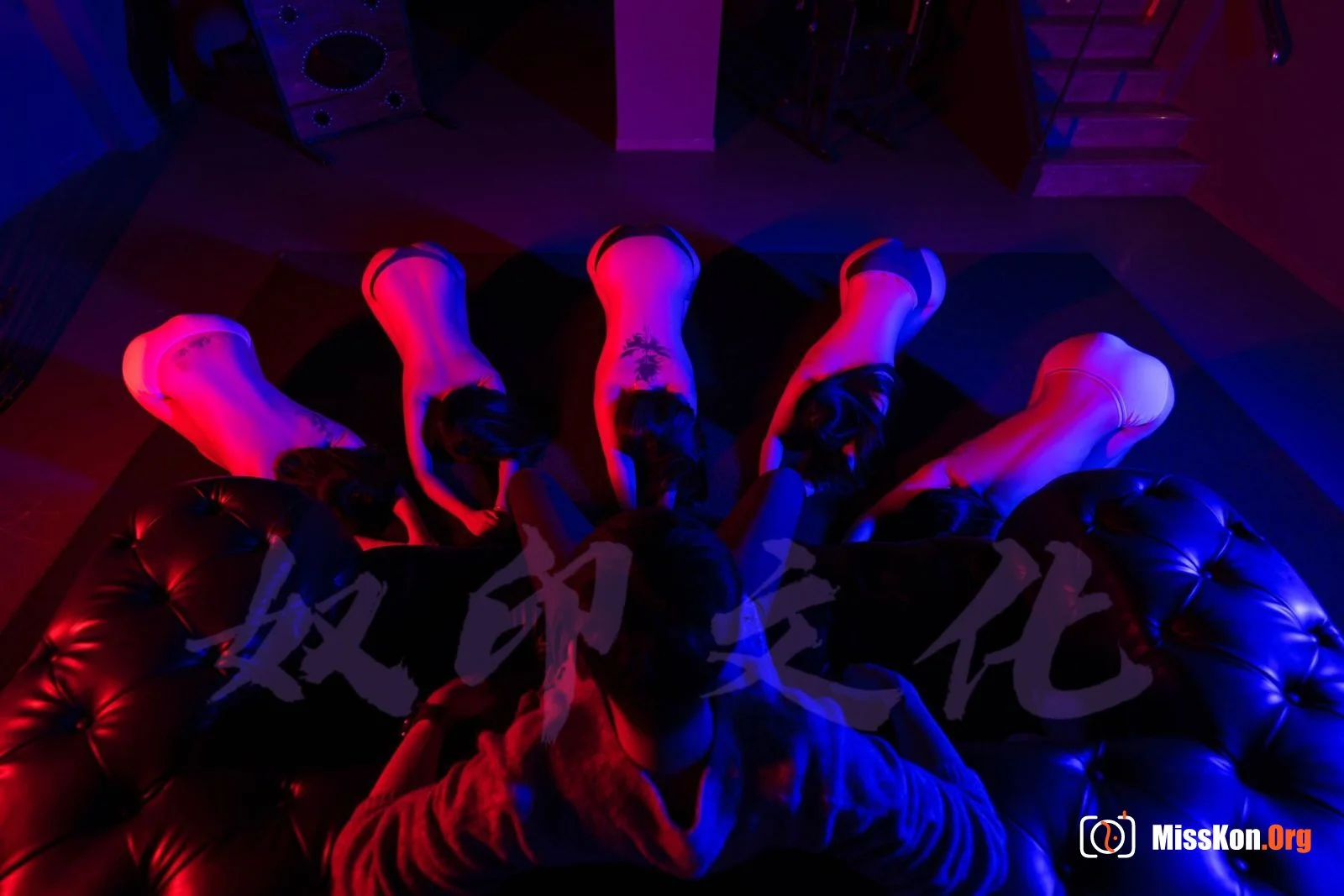 推特 @奴印文化 网络收集 - 照片 10