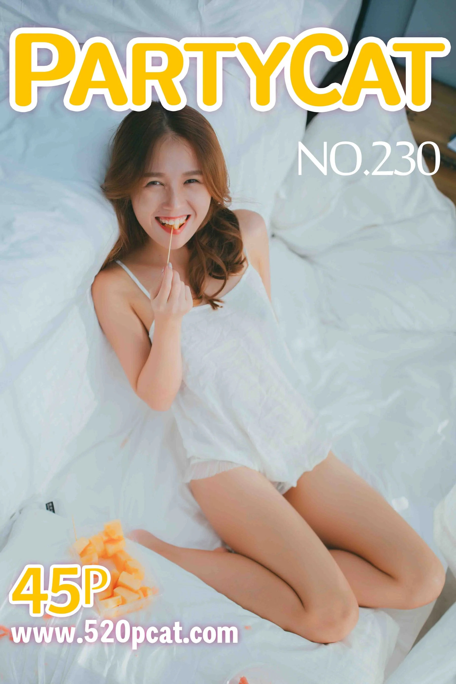 Vol.230